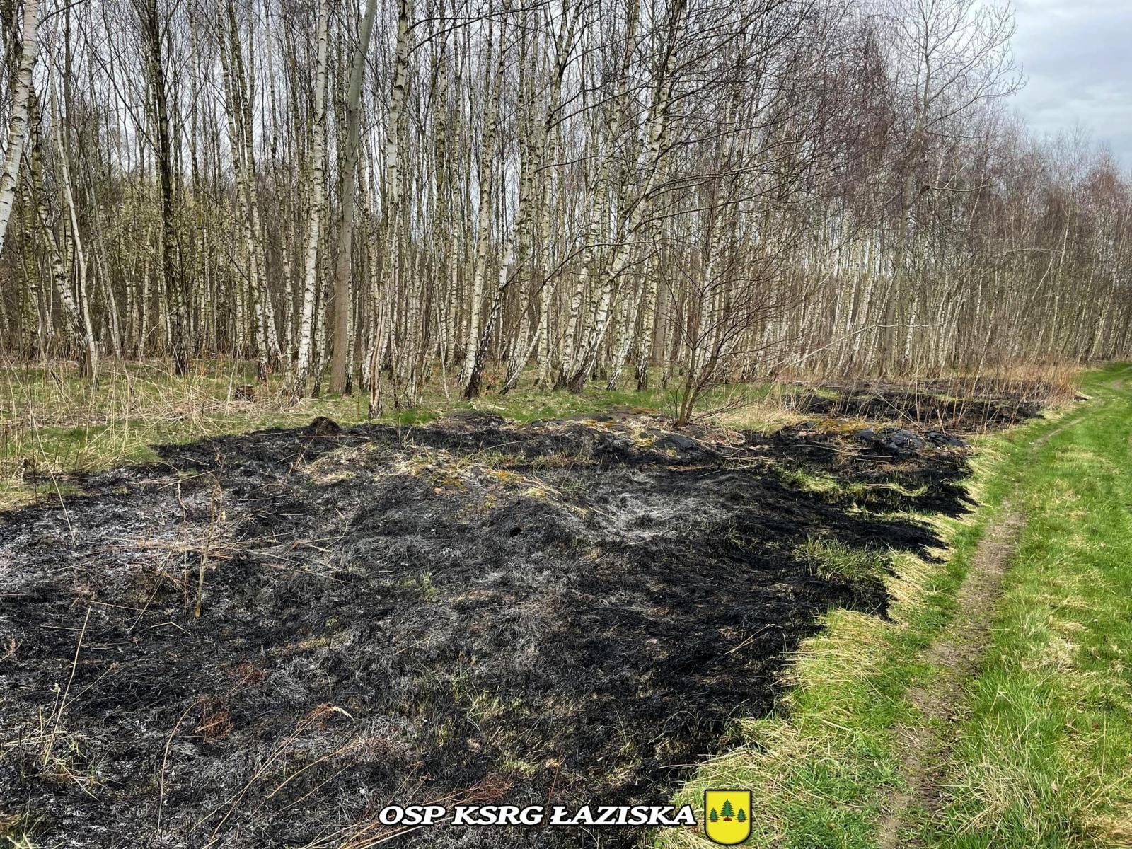 Zdjęcie w galerii na portalu naszwodzislaw.com: Dwa pożary traw w Skrzyszowie wiadomości z regionu