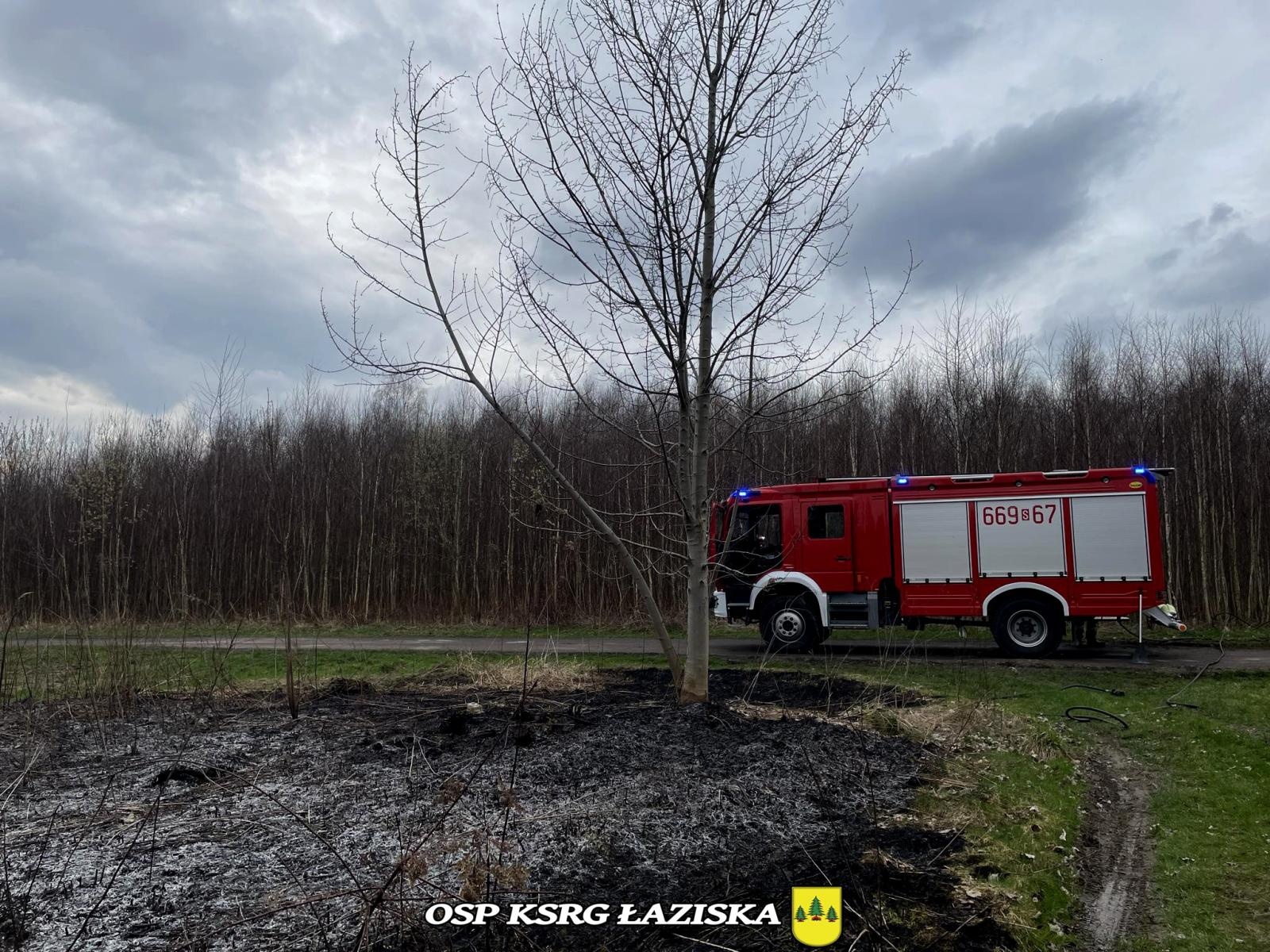 Zdjęcie w galerii na portalu naszwodzislaw.com: Dwa pożary traw w Skrzyszowie wiadomości z regionu