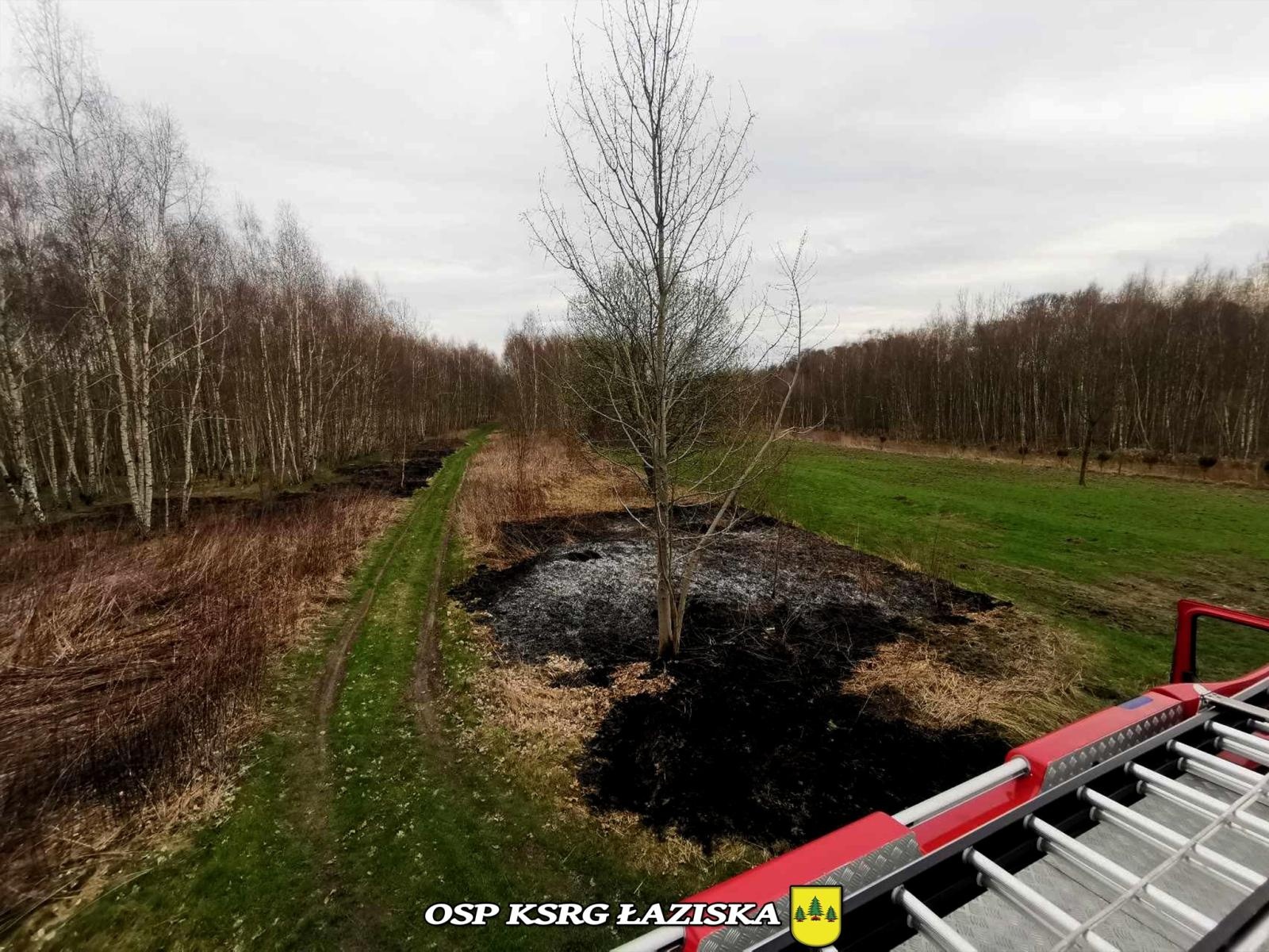 Zdjęcie w galerii na portalu naszwodzislaw.com: Dwa pożary traw w Skrzyszowie wiadomości z regionu