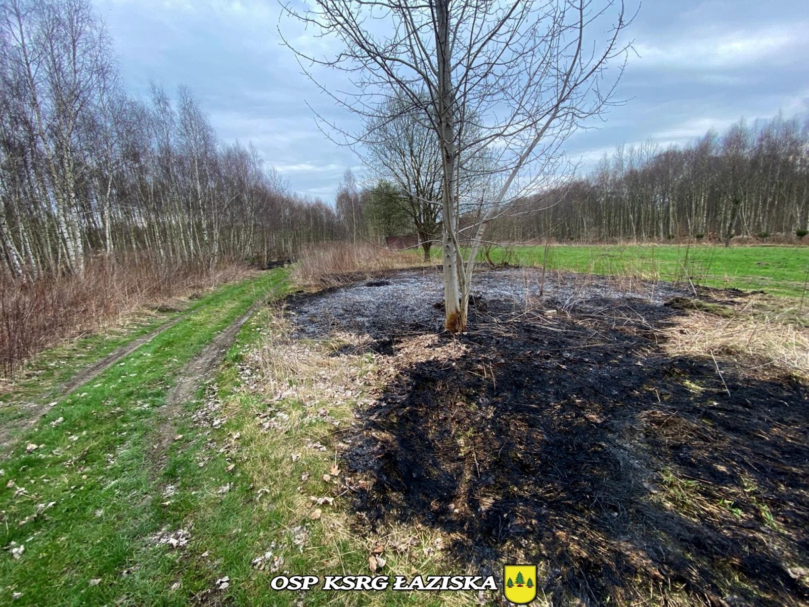 Zdjęcie w galerii na portalu naszwodzislaw.com: Dwa pożary traw w Skrzyszowie wiadomości z regionu