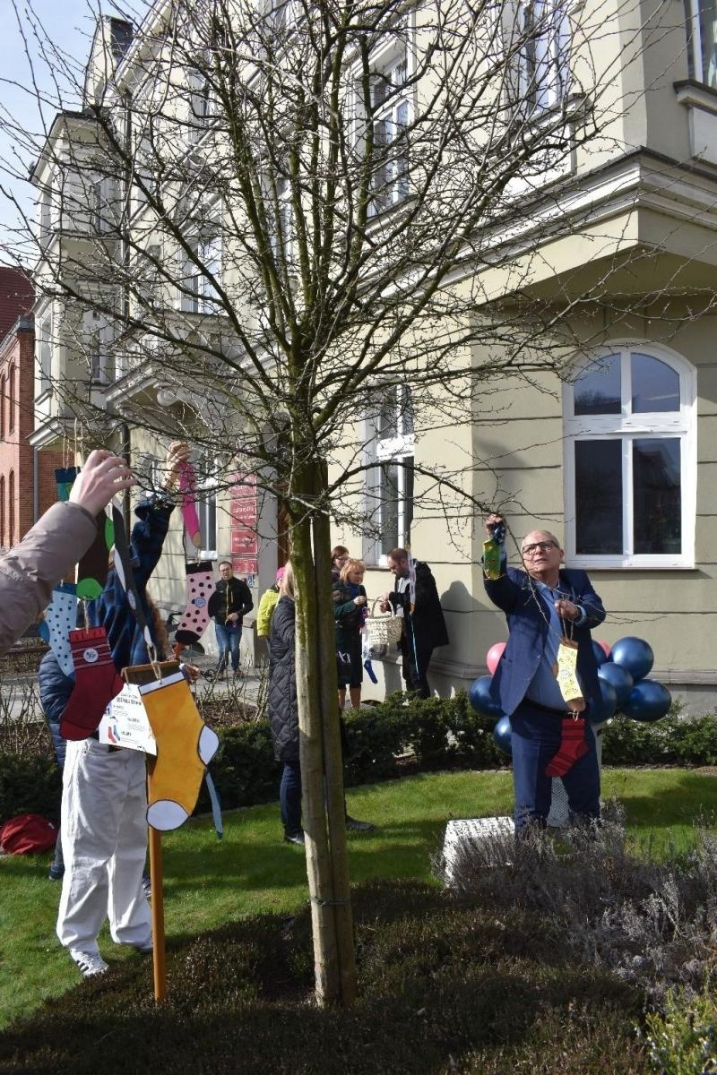 Zdjęcie w galerii na portalu naszwodzislaw.com: Dzień Skarpetki Nie Do Pary w wodzisławskim starostwie [FOTO] wiadomości z regionu