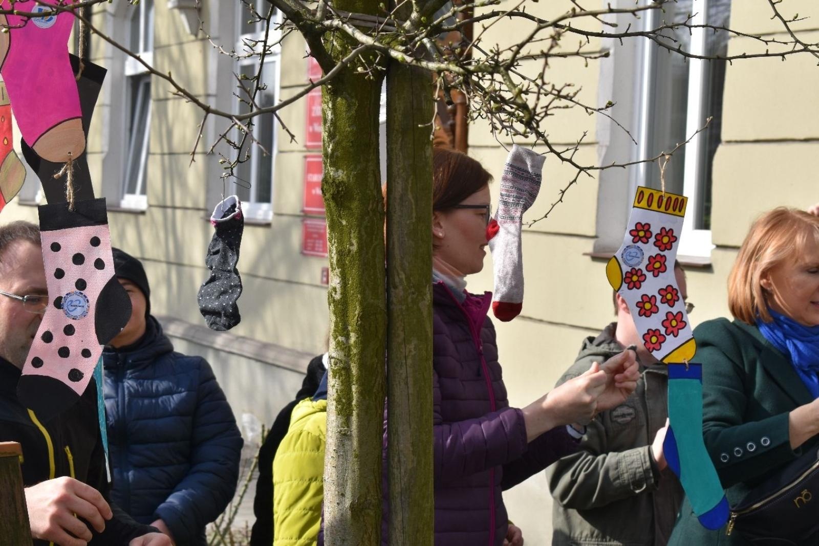 Zdjęcie w galerii na portalu naszwodzislaw.com: Dzień Skarpetki Nie Do Pary w wodzisławskim starostwie [FOTO] wiadomości z regionu