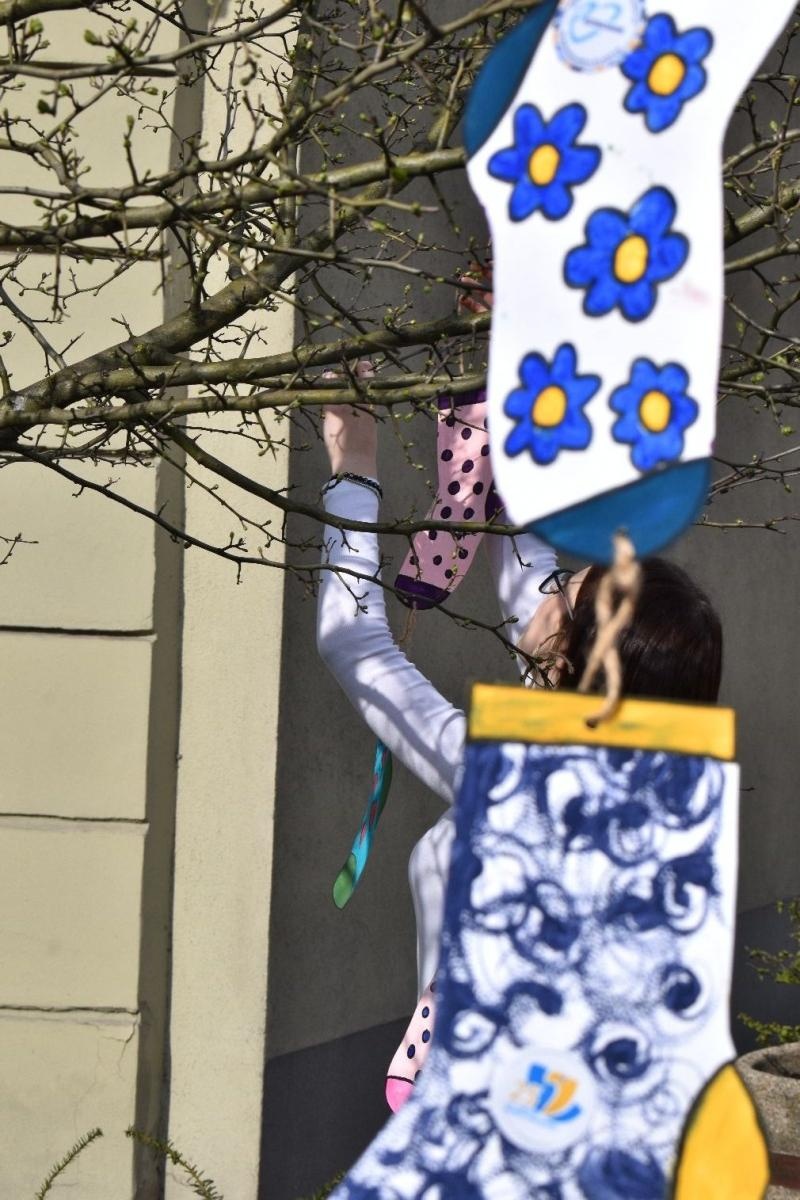 Zdjęcie w galerii na portalu naszwodzislaw.com: Dzień Skarpetki Nie Do Pary w wodzisławskim starostwie [FOTO] wiadomości z regionu