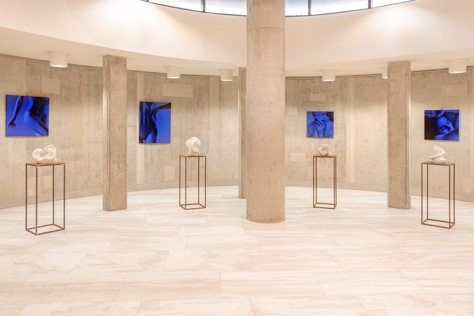 Zdjęcie w galerii na portalu naszwodzislaw.com: Dzieła wodzisławianki można podziwiać w galerii Art in House wiadomości z regionu