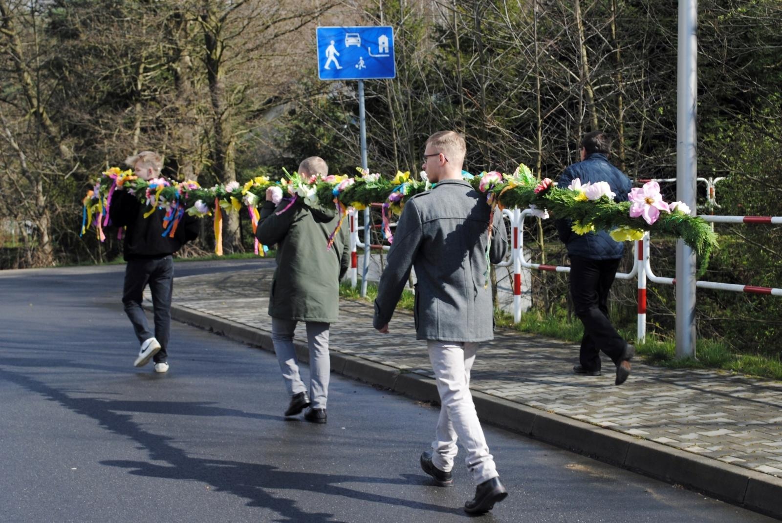 Zdjęcie w galerii na portalu naszwodzislaw.com: Imponująca palma w Skrbeńsku. Miała ponad 17 metrów! wiadomości z regionu