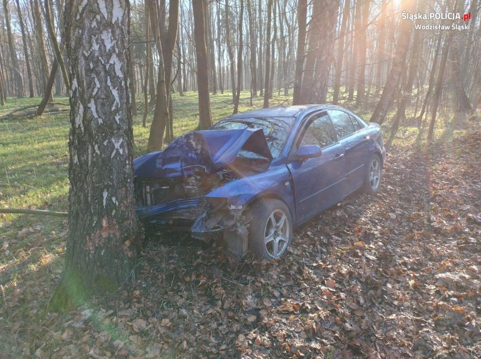 Zdjęcie w galerii na portalu naszwodzislaw.com: Chciał uniknąć zderzenia z sarną. Uderzył w drzewo wiadomości z regionu