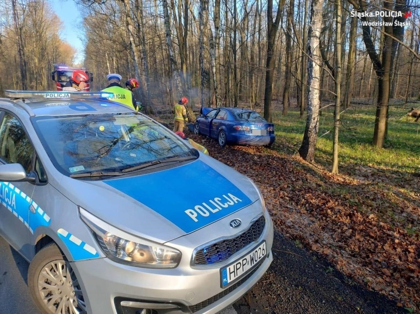 Zdjęcie w galerii na portalu naszwodzislaw.com: Chciał uniknąć zderzenia z sarną. Uderzył w drzewo wiadomości z regionu