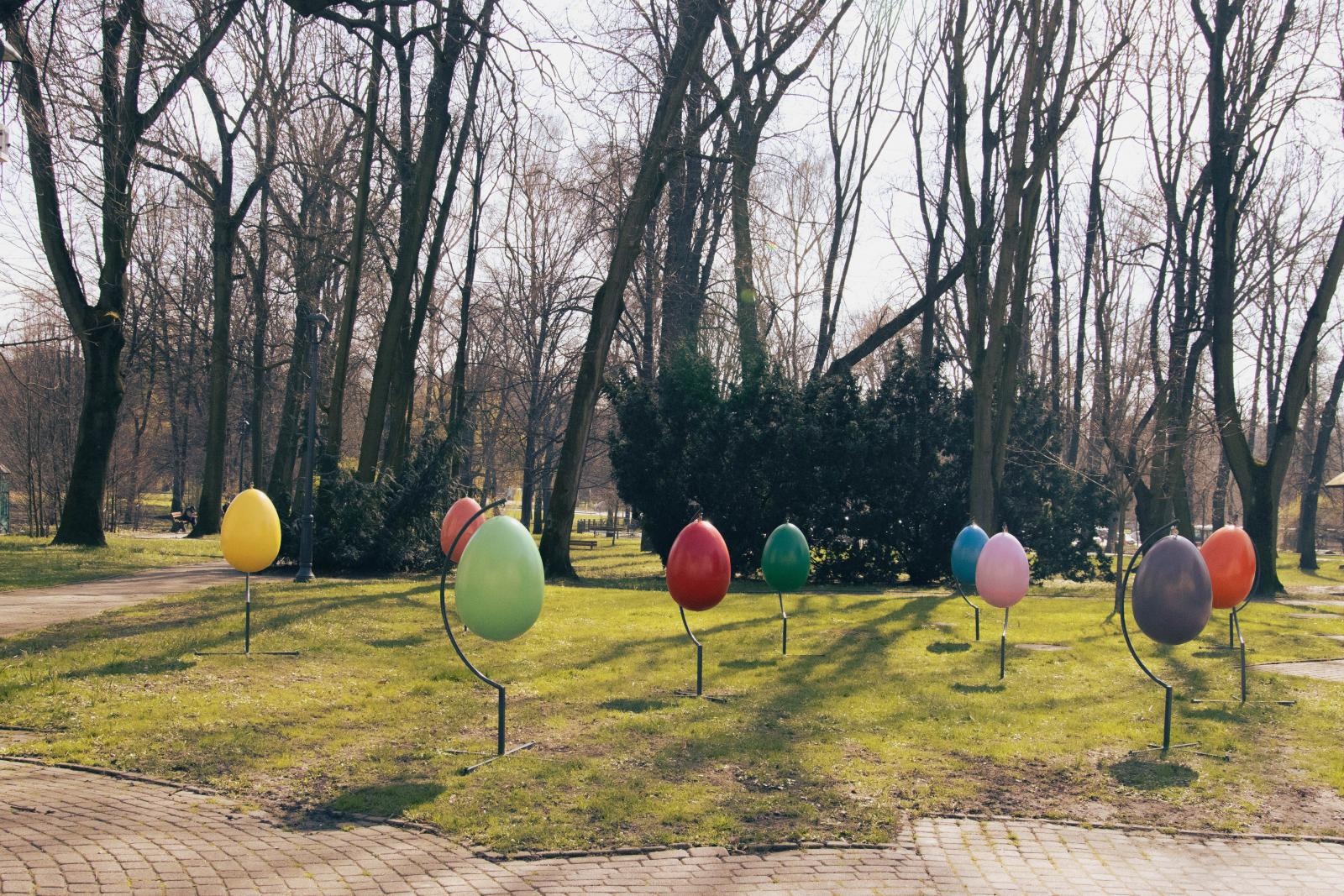 Zdjęcie w galerii na portalu naszwodzislaw.com: Wodzisław Śląski w świątecznym wydaniu wiadomości z regionu