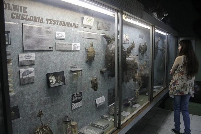 Zdjęcie w galerii na portalu naszwodzislaw.com: Niezwykły festiwal nauki u Tischnera  wiadomości z regionu