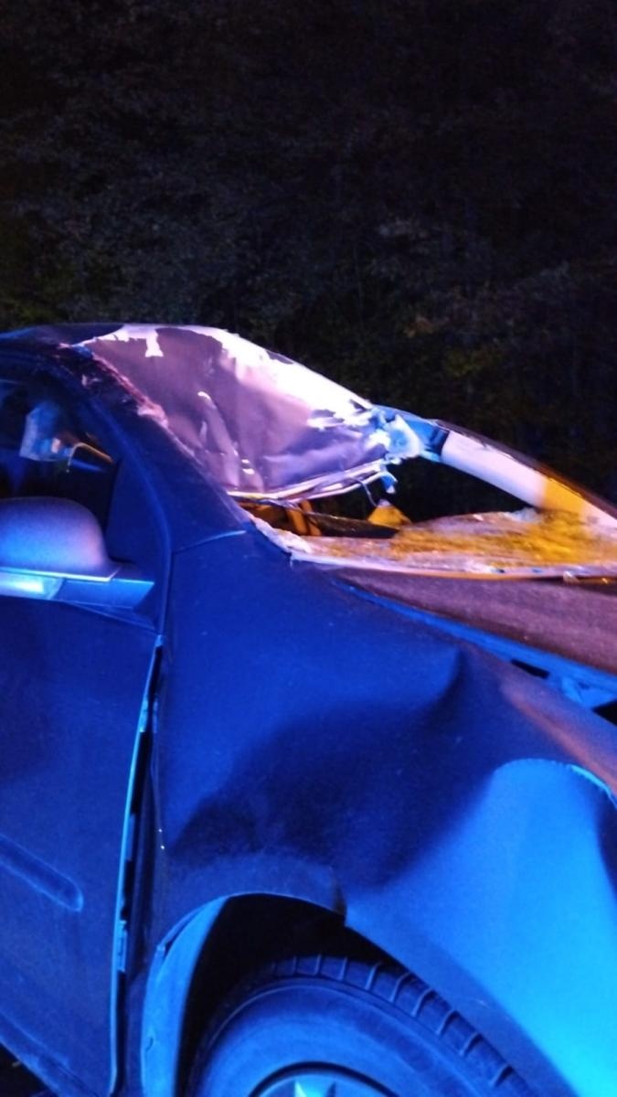 Zdjęcie w galerii na portalu naszwodzislaw.com: Koń zderzył się z samochodem. 22-latka w szpitalu wiadomości z regionu