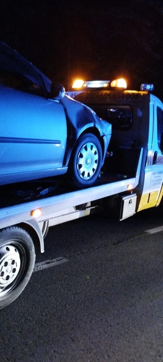 Zdjęcie w galerii na portalu naszwodzislaw.com: Koń zderzył się z samochodem. 22-latka w szpitalu wiadomości z regionu