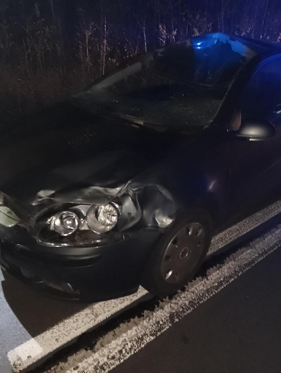 Zdjęcie w galerii na portalu naszwodzislaw.com: Koń zderzył się z samochodem. 22-latka w szpitalu wiadomości z regionu