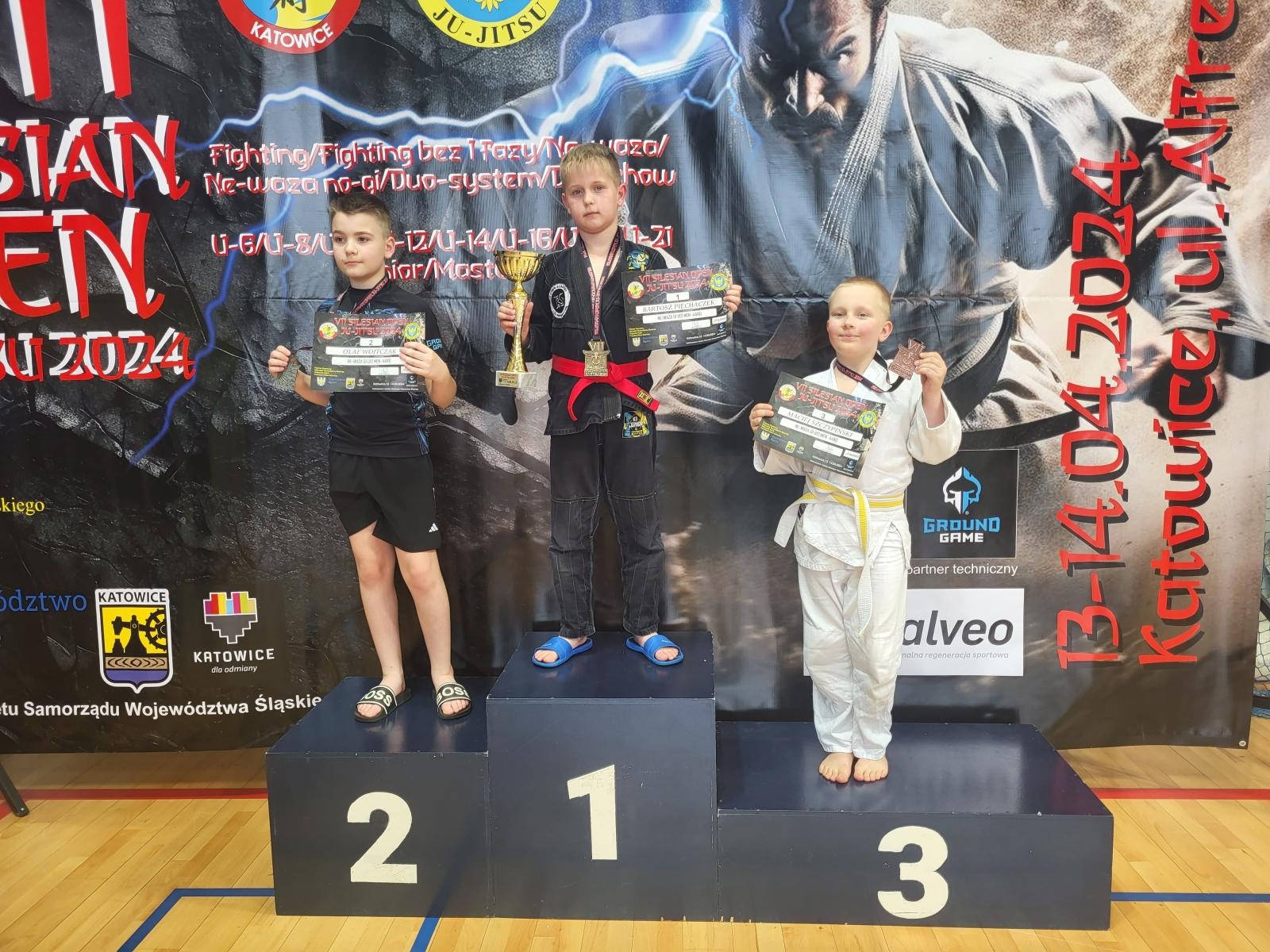 Zdjęcie w galerii na portalu naszwodzislaw.com: Kolejne medale zawodników KS Stein Academy z Rydułtów wiadomości z regionu