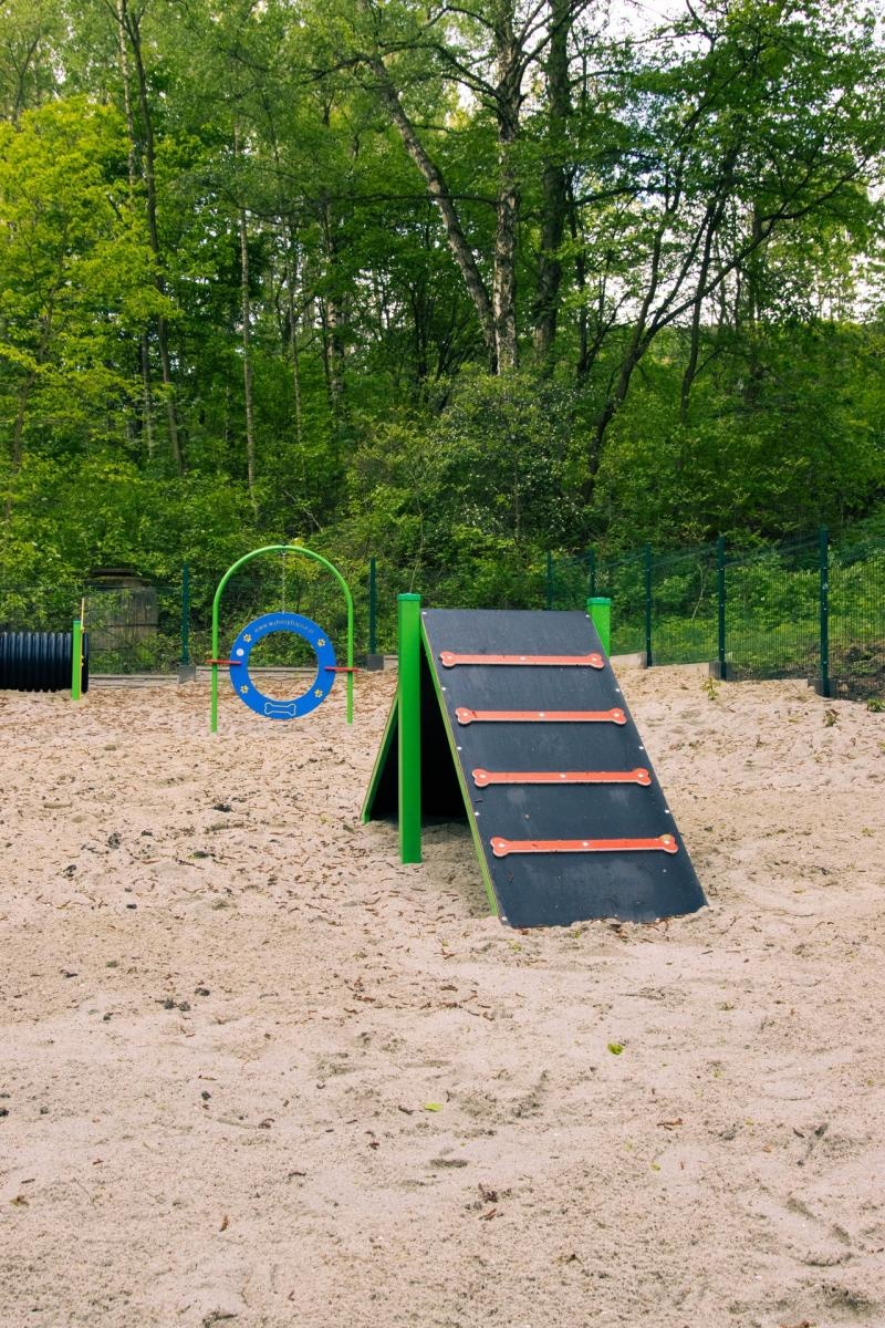 Zdjęcie w galerii na portalu naszwodzislaw.com: Nowy wybieg dla psów w Rodzinnym Parku Rozrywki  wiadomości z regionu