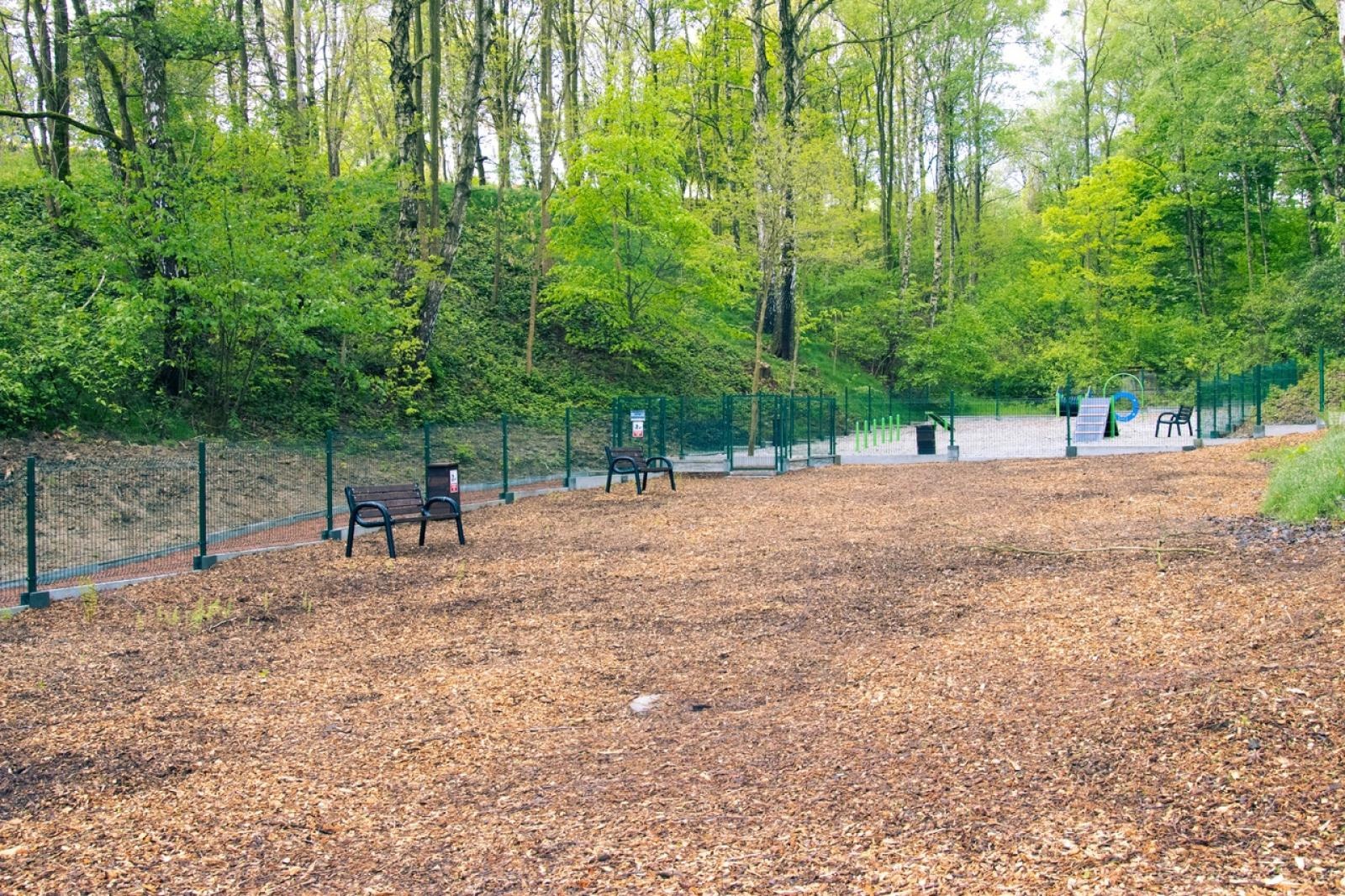 Zdjęcie w galerii na portalu naszwodzislaw.com: Nowy wybieg dla psów w Rodzinnym Parku Rozrywki  wiadomości z regionu