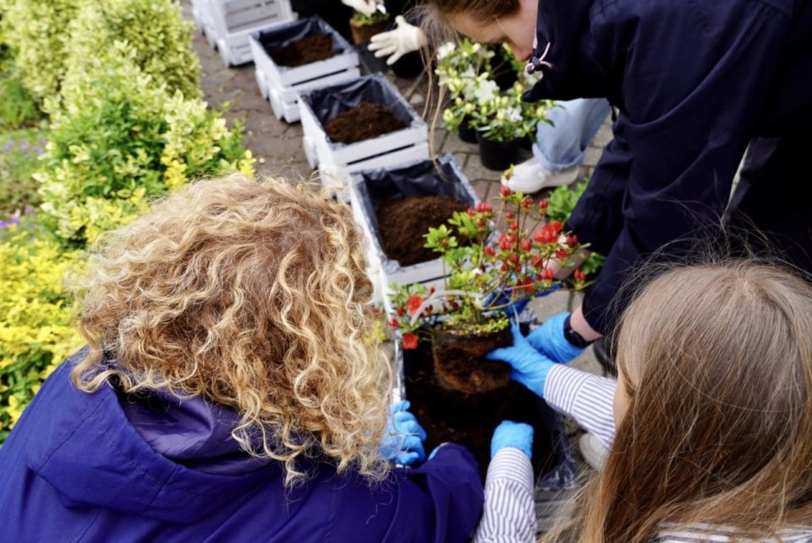 Zdjęcie w galerii na portalu naszwodzislaw.com: Dugnad po polsku, czyli od ucha do serducha [FOTO] wiadomości z regionu