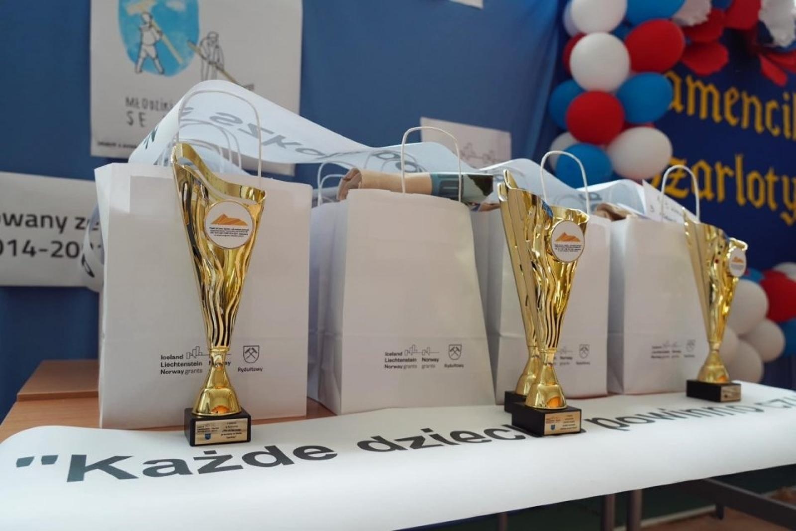 Zdjęcie w galerii na portalu naszwodzislaw.com: Diamenciki na mapie Rydułtów. Podsumowanie projektu W cieniu Szarloty [FOTO] wiadomości z regionu