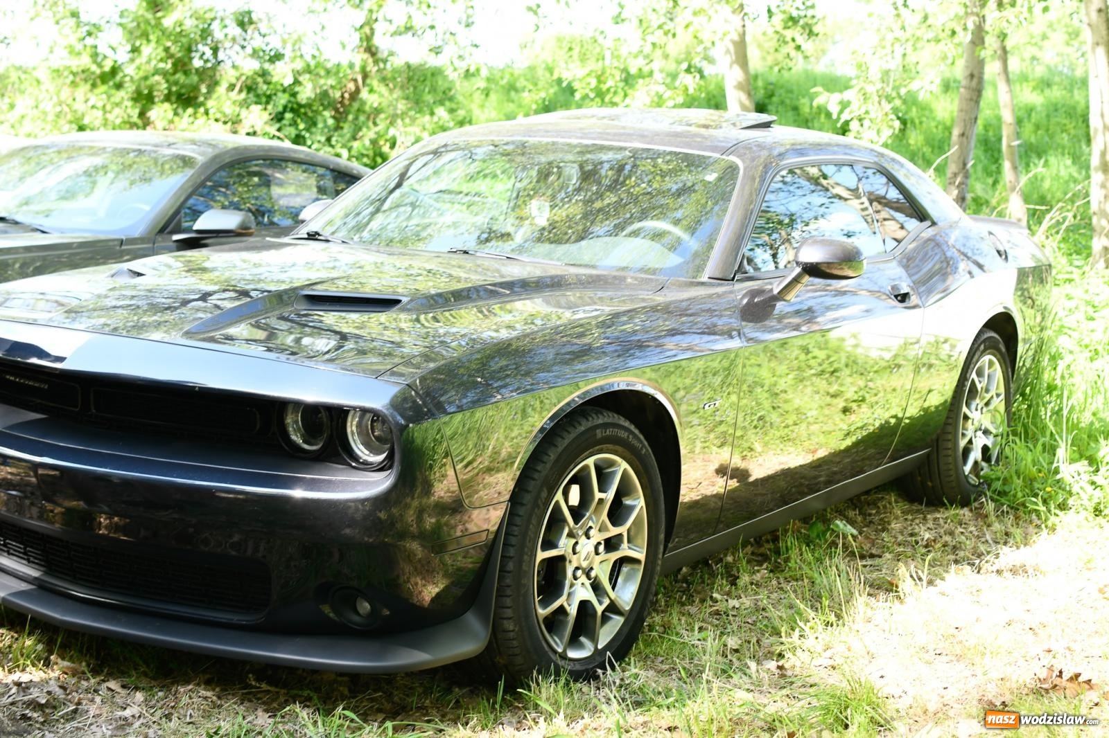 Zdjęcie w galerii na portalu naszwodzislaw.com: Tuningowane wozy na Magicznej Plaży w Bukowie [FOTO i WIDEO] wiadomości z regionu