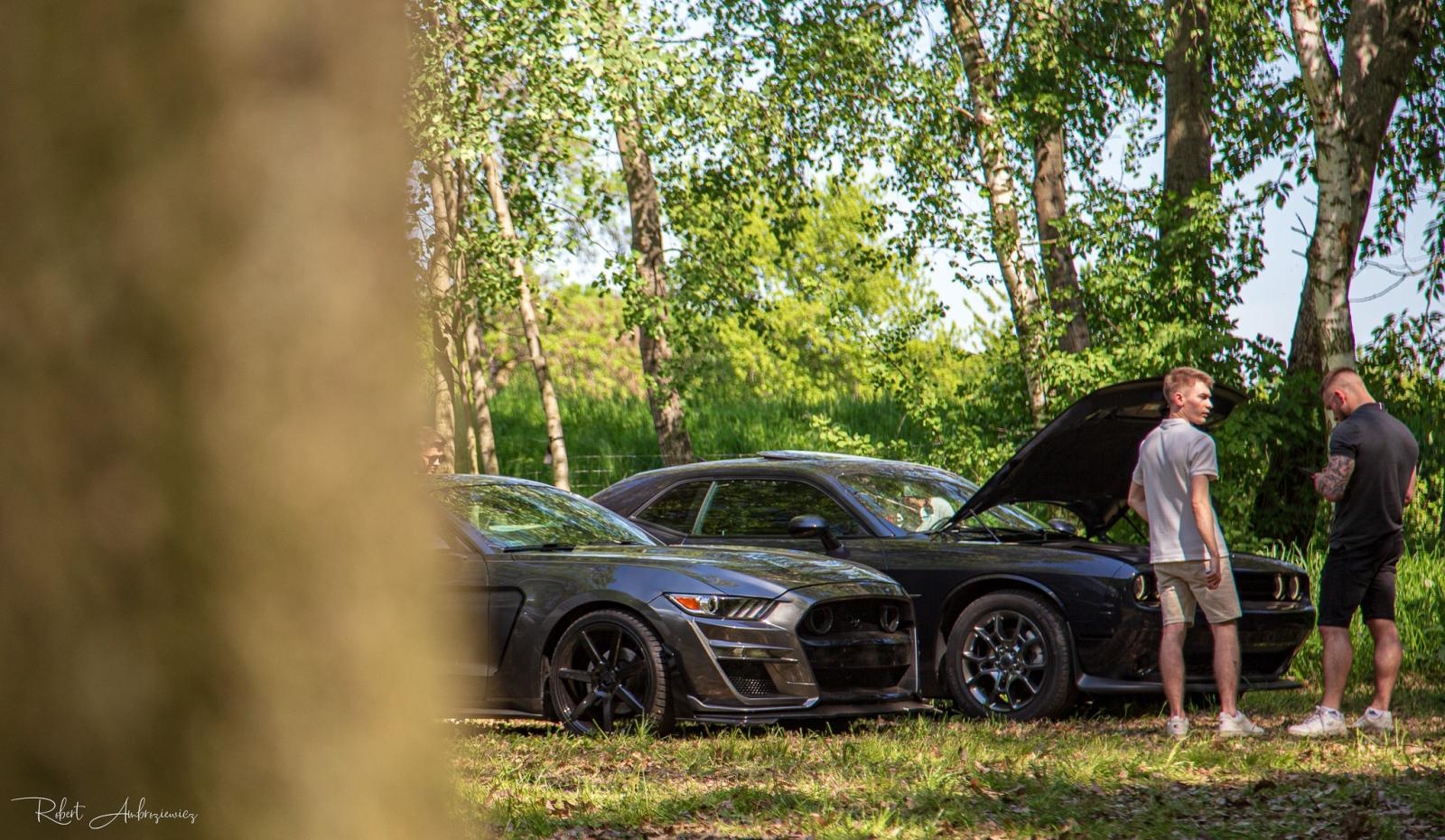 Zdjęcie w galerii na portalu naszwodzislaw.com: Petrol Beach - Zlot Samochodów Tuningowanych w Bukowie na bis! [FOTO] wiadomości z regionu