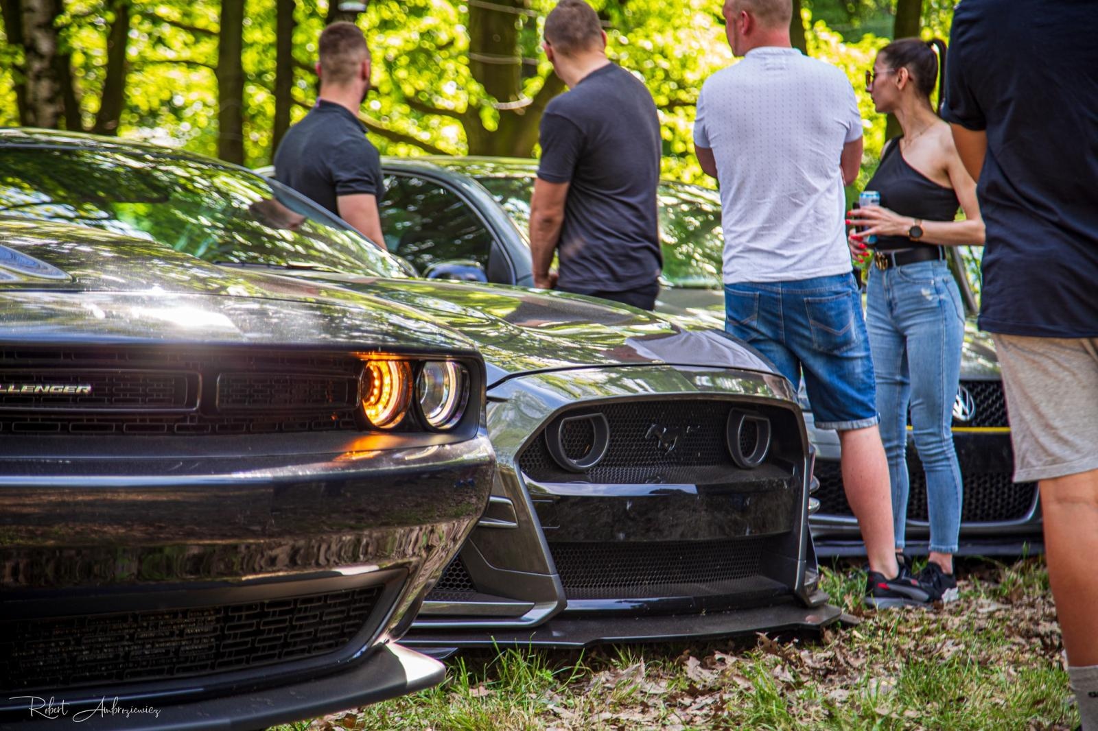 Zdjęcie w galerii na portalu naszwodzislaw.com: Petrol Beach - Zlot Samochodów Tuningowanych w Bukowie na bis! [FOTO] wiadomości z regionu