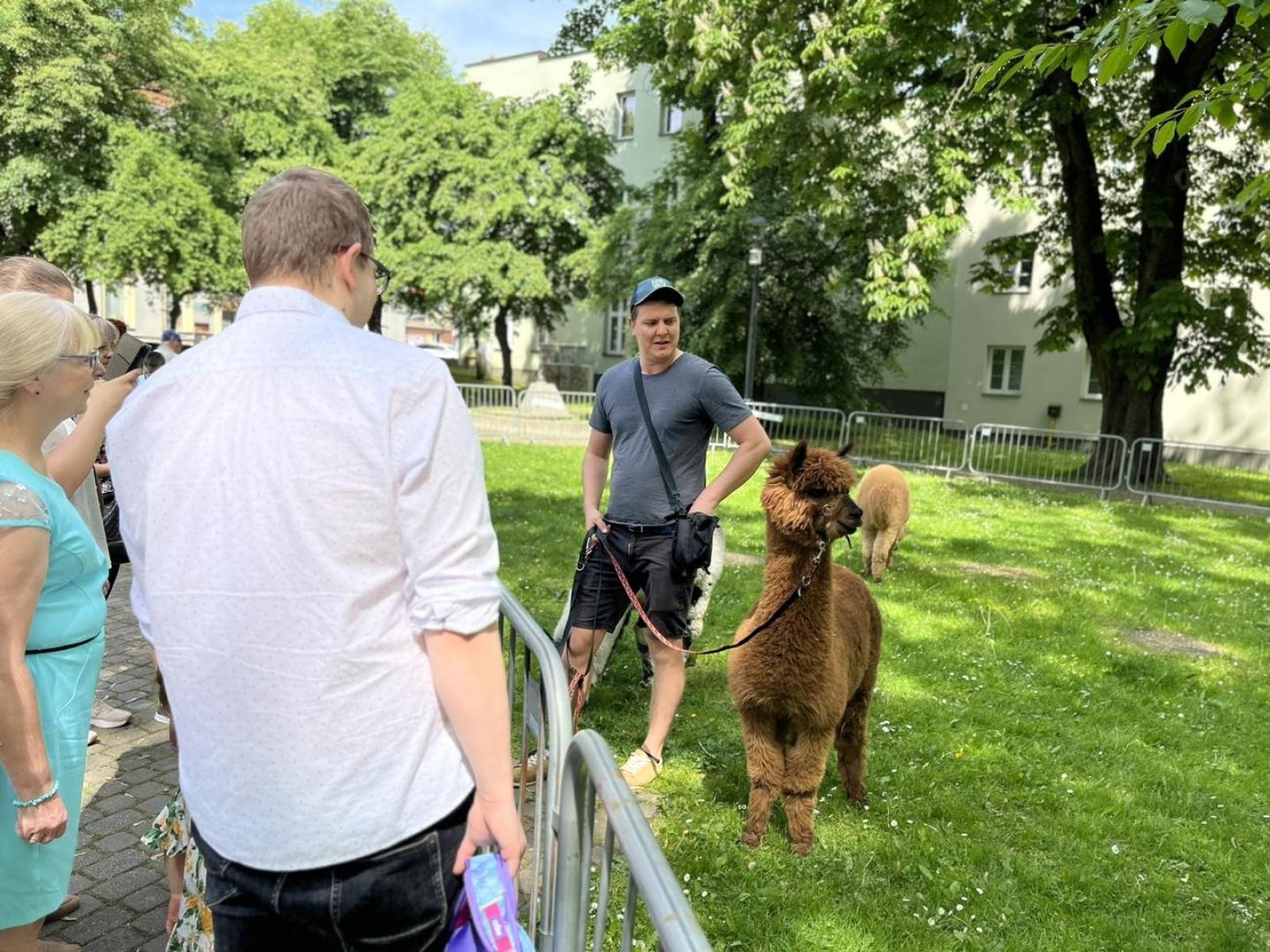 Zdjęcie w galerii na portalu naszwodzislaw.com: Majówka w Wodzisławiu Śląskim. Frekwencja dopisała [FOTO i WIDEO] wiadomości z regionu