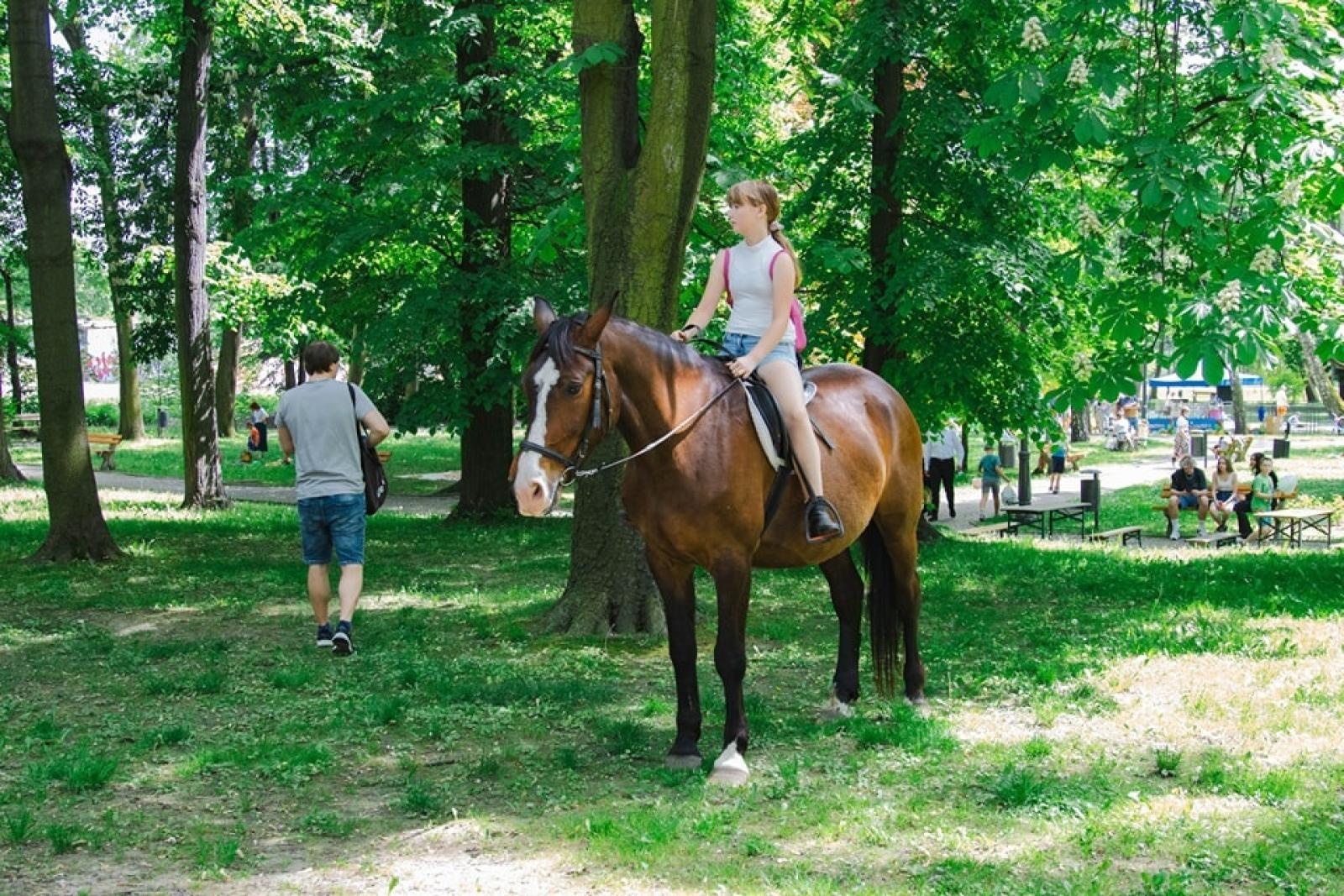 Zdjęcie w galerii na portalu naszwodzislaw.com: Majówka w Wodzisławiu Śląskim. Frekwencja dopisała [FOTO i WIDEO] wiadomości z regionu