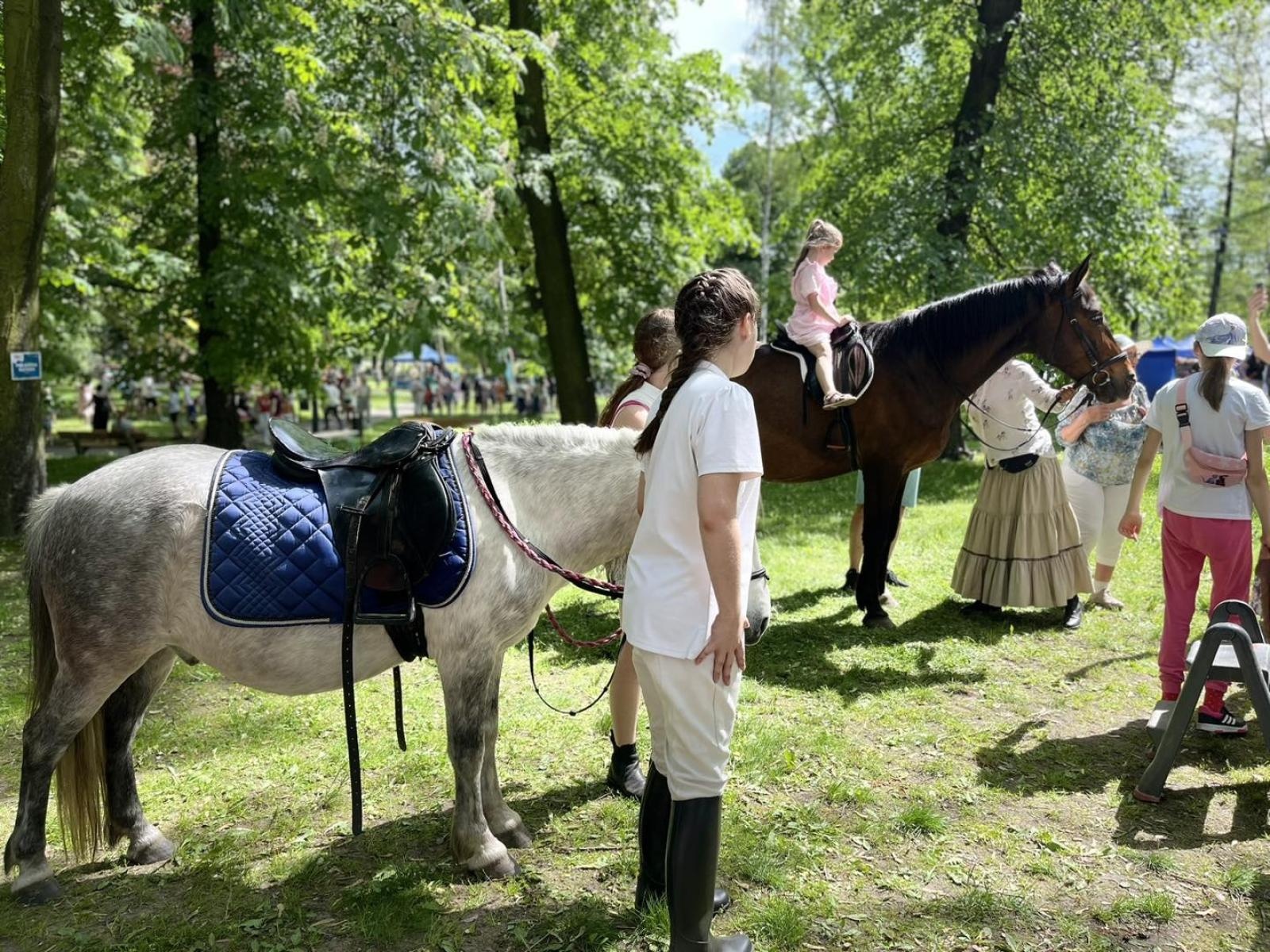 Zdjęcie w galerii na portalu naszwodzislaw.com: Majówka w Wodzisławiu Śląskim. Frekwencja dopisała [FOTO i WIDEO] wiadomości z regionu
