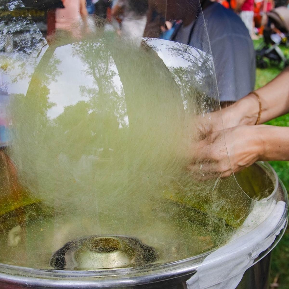 Zdjęcie w galerii na portalu naszwodzislaw.com: Majówka w Wodzisławiu Śląskim. Frekwencja dopisała [FOTO i WIDEO] wiadomości z regionu