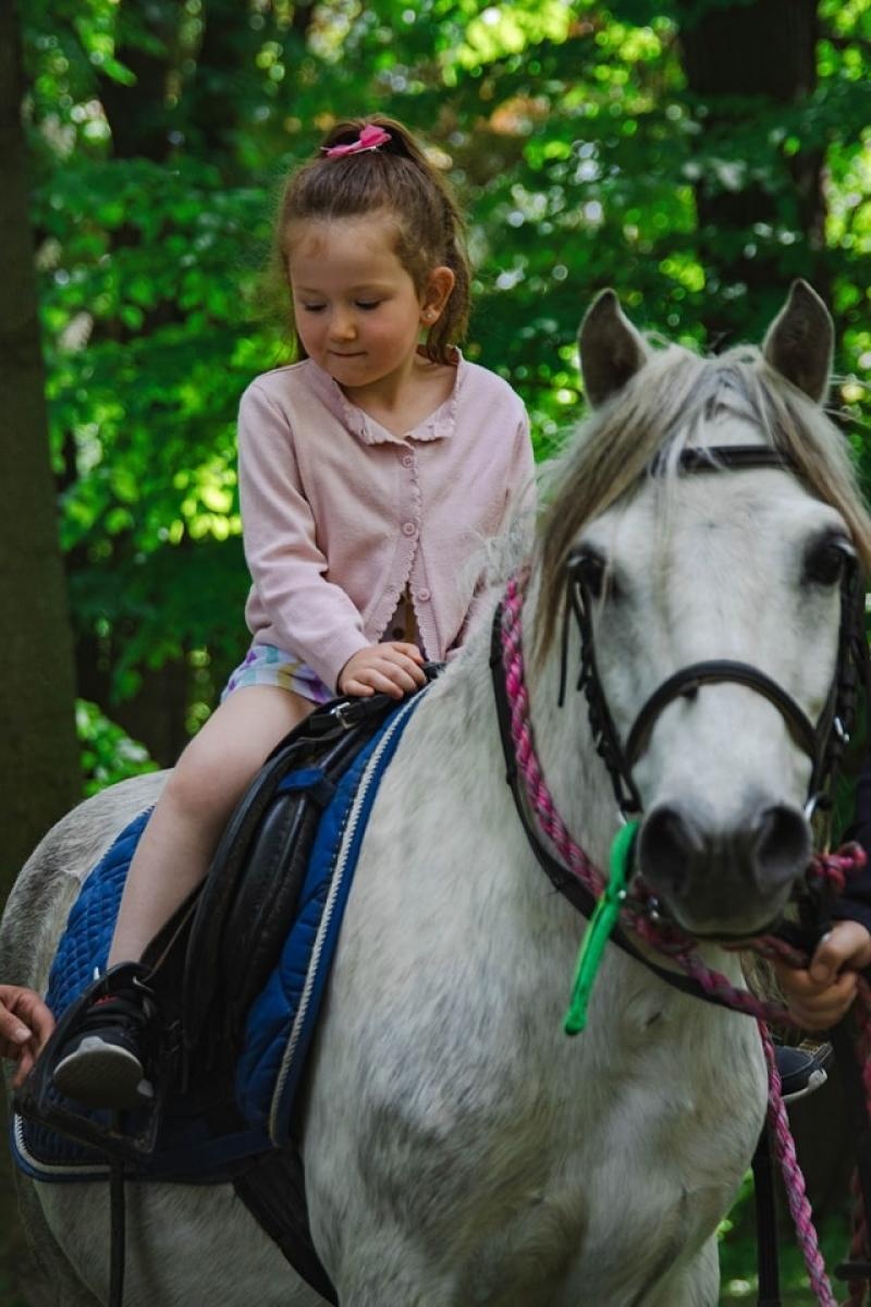 Zdjęcie w galerii na portalu naszwodzislaw.com: Majówka w Wodzisławiu Śląskim. Frekwencja dopisała [FOTO i WIDEO] wiadomości z regionu