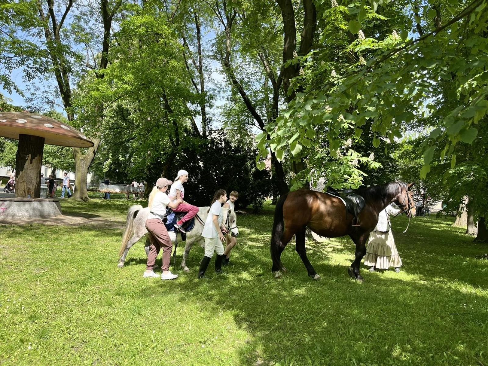 Zdjęcie w galerii na portalu naszwodzislaw.com: Majówka w Wodzisławiu Śląskim. Frekwencja dopisała [FOTO i WIDEO] wiadomości z regionu