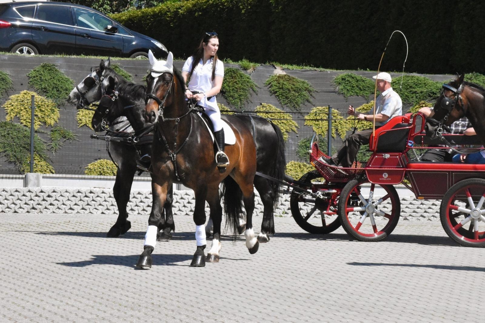 Zdjęcie w galerii na portalu naszwodzislaw.com: Procesja na otwarcie sezonu konnego w gminie Godów [FOTO] wiadomości z regionu