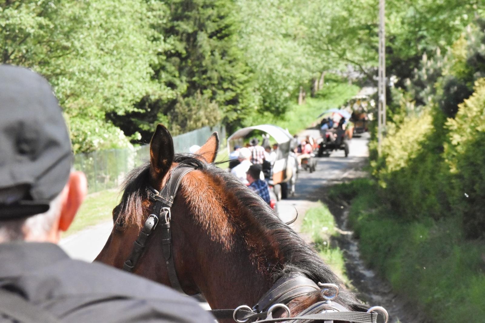 Zdjęcie w galerii na portalu naszwodzislaw.com: Procesja na otwarcie sezonu konnego w gminie Godów [FOTO] wiadomości z regionu