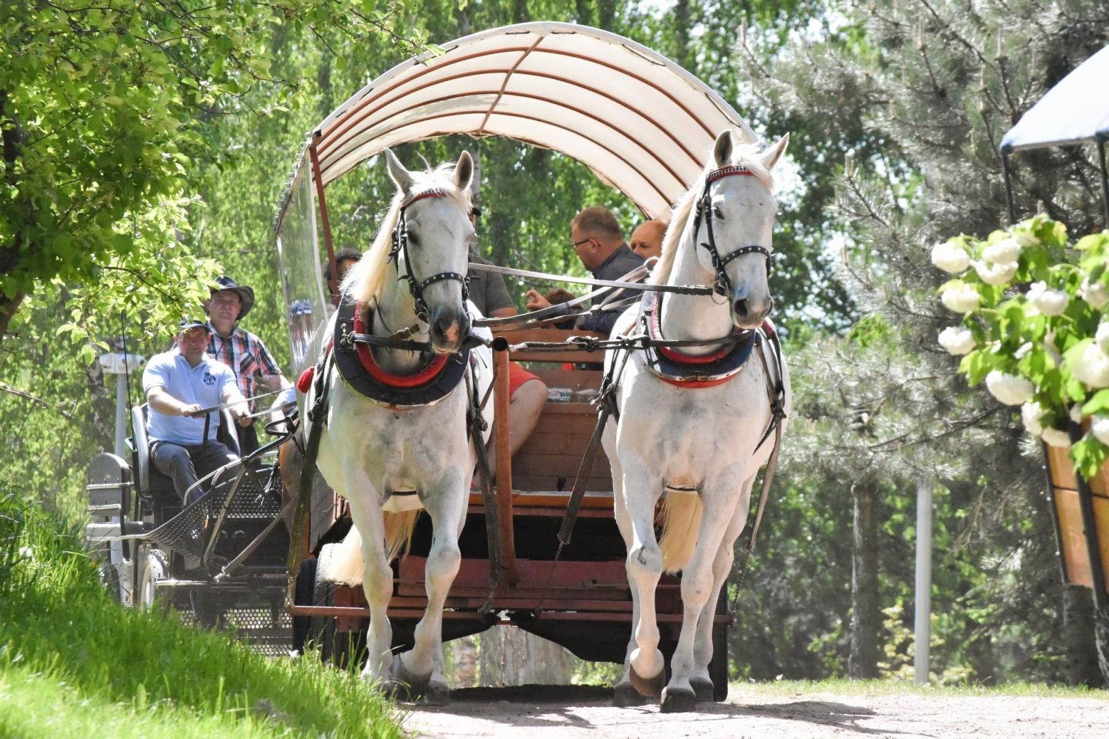 Zdjęcie w galerii na portalu naszwodzislaw.com: Procesja na otwarcie sezonu konnego w gminie Godów [FOTO] wiadomości z regionu
