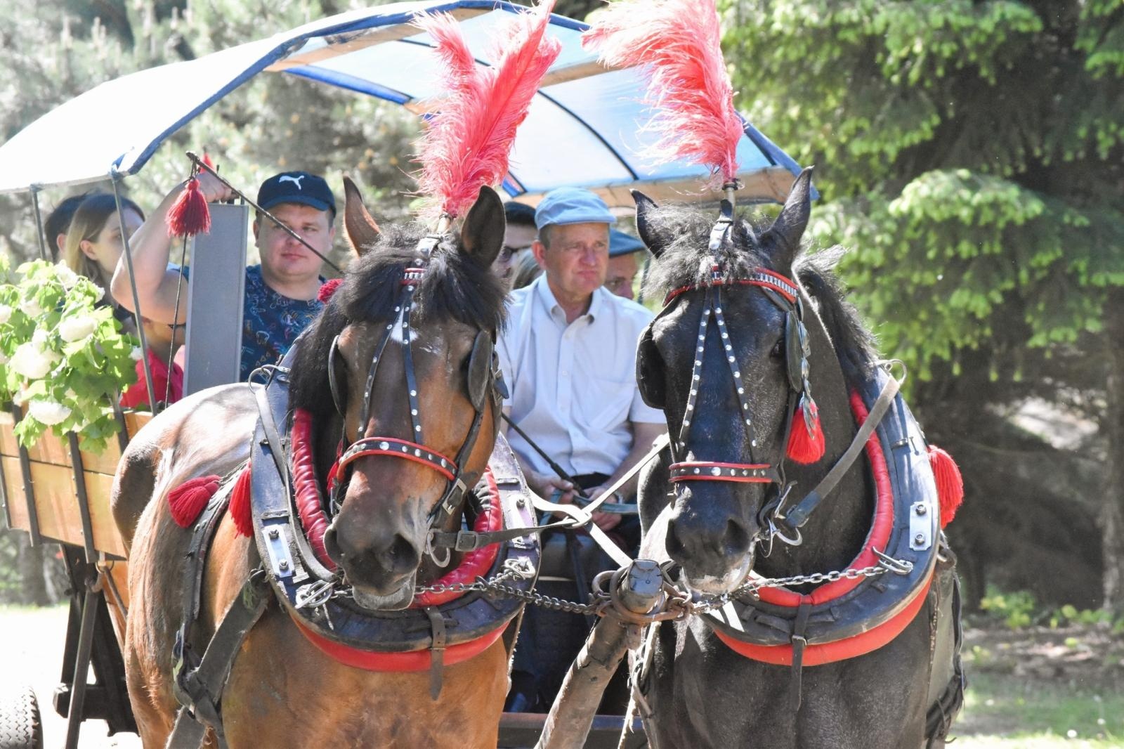 Zdjęcie w galerii na portalu naszwodzislaw.com: Procesja na otwarcie sezonu konnego w gminie Godów [FOTO] wiadomości z regionu