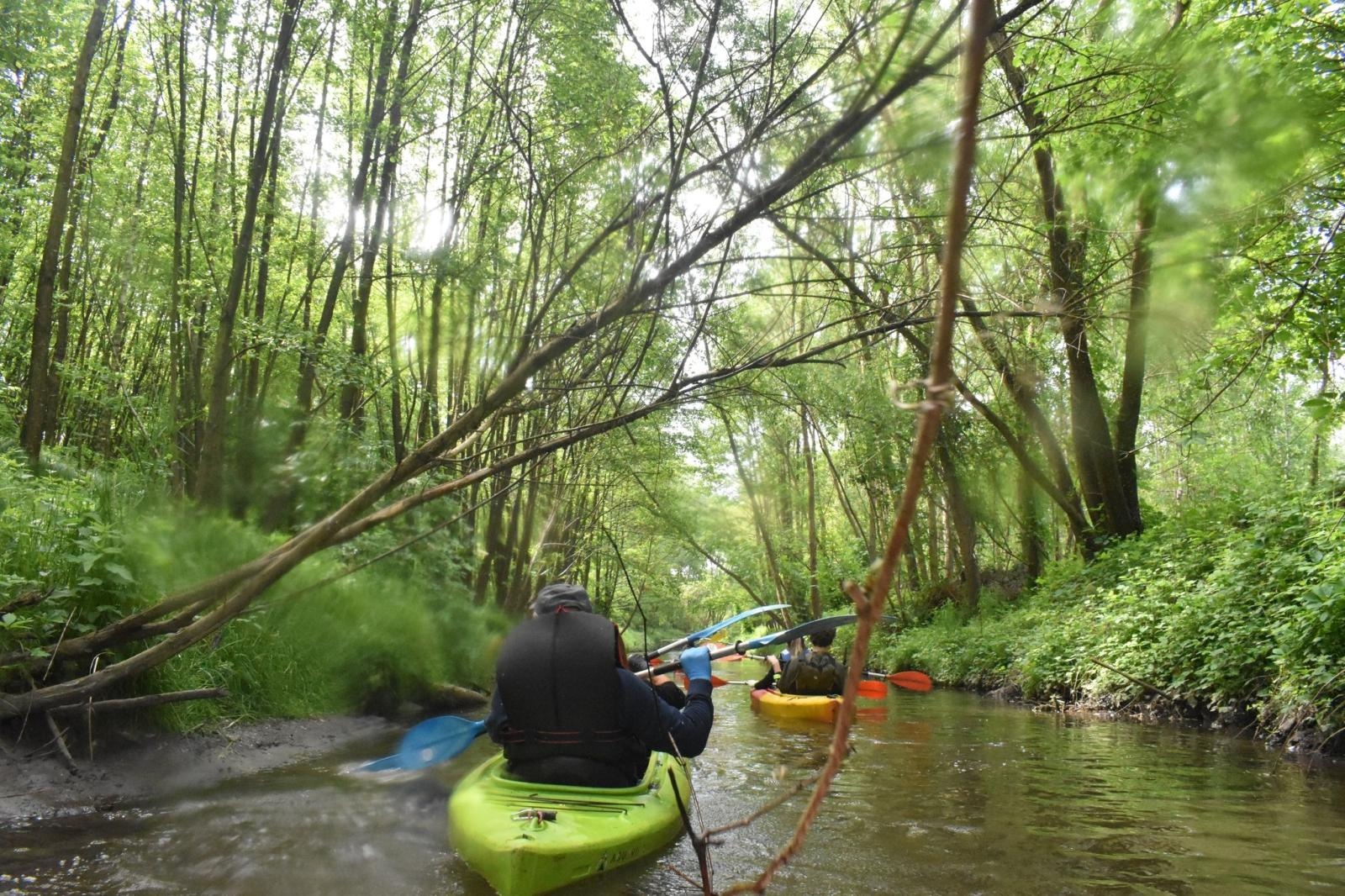 Zdjęcie w galerii na portalu naszwodzislaw.com: Szotkówka w Godowie posprzątana [FOTO] wiadomości z regionu