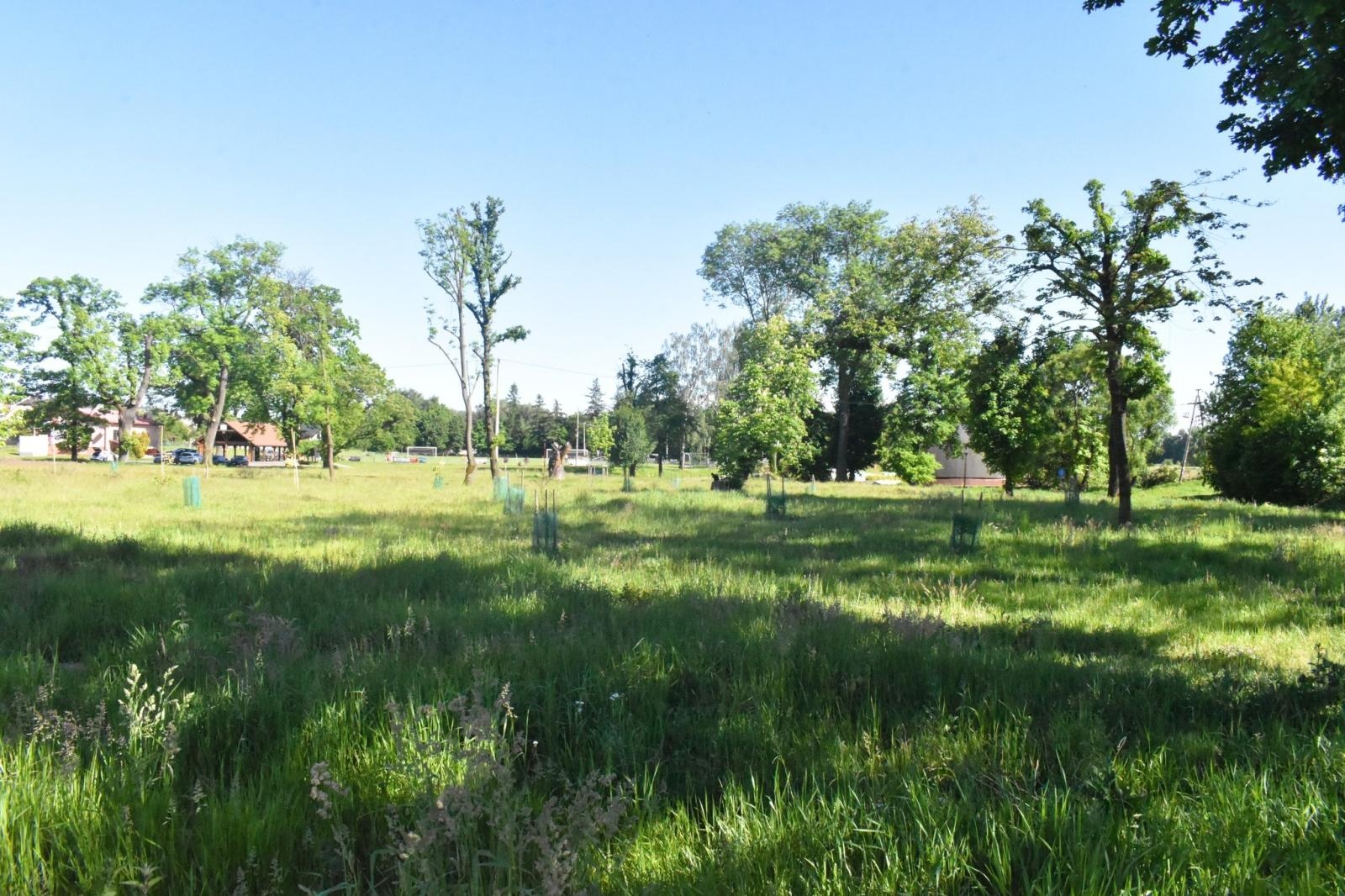 Zdjęcie w galerii na portalu naszwodzislaw.com: Godów. Konsultacje społeczne z projektantami promenady im. Francisza Pieczki za nami wiadomości z regionu