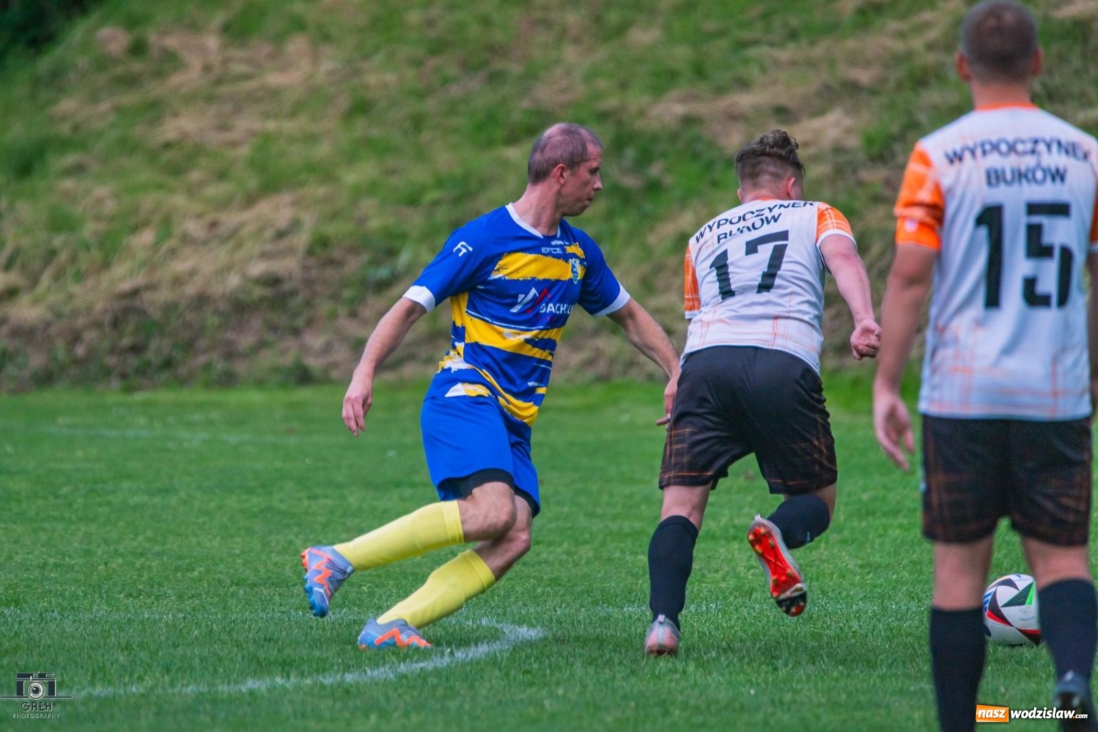 Zdjęcie w galerii na portalu naszwodzislaw.com: Gamów – Buków: Wilczek rozszarpał Wypoczynek [FOTO i WIDEO] wiadomości z regionu