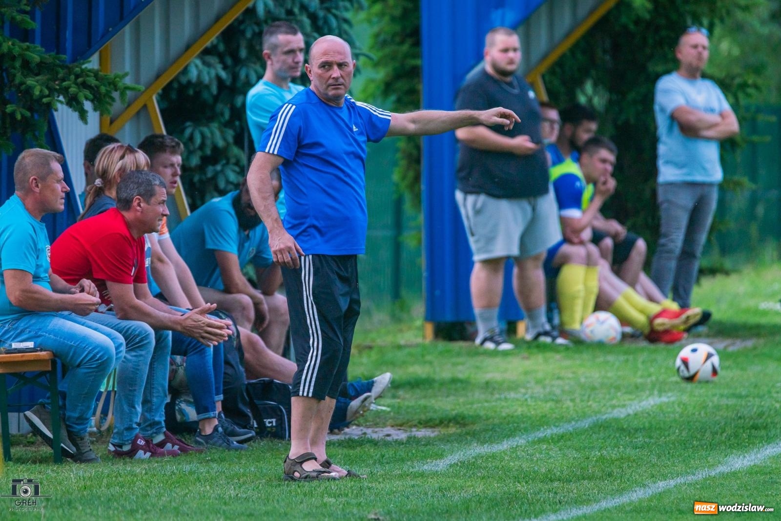 Zdjęcie w galerii na portalu naszwodzislaw.com: Gamów – Buków: Wilczek rozszarpał Wypoczynek [FOTO i WIDEO] wiadomości z regionu