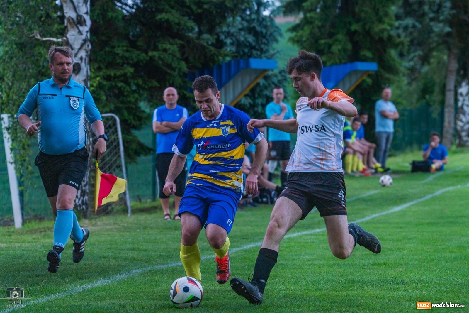 Zdjęcie w galerii na portalu naszwodzislaw.com: Gamów – Buków: Wilczek rozszarpał Wypoczynek [FOTO i WIDEO] wiadomości z regionu