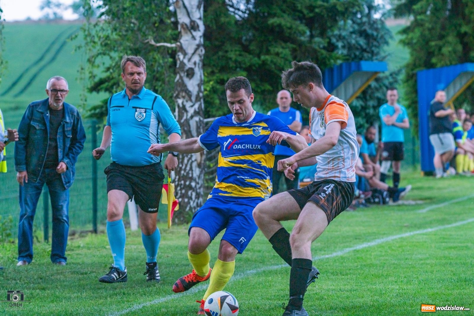 Zdjęcie w galerii na portalu naszwodzislaw.com: Gamów – Buków: Wilczek rozszarpał Wypoczynek [FOTO i WIDEO] wiadomości z regionu