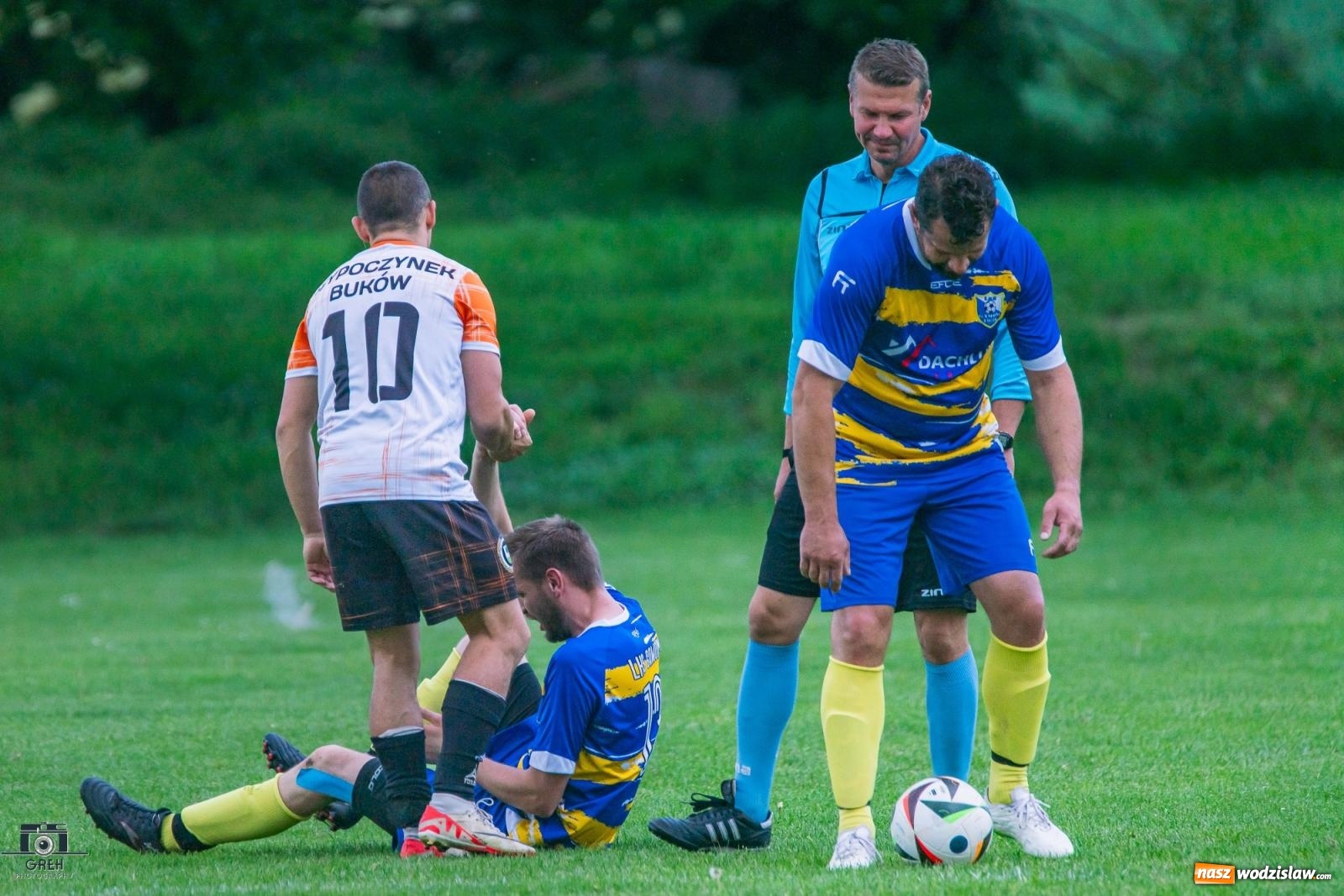 Zdjęcie w galerii na portalu naszwodzislaw.com: Gamów – Buków: Wilczek rozszarpał Wypoczynek [FOTO i WIDEO] wiadomości z regionu