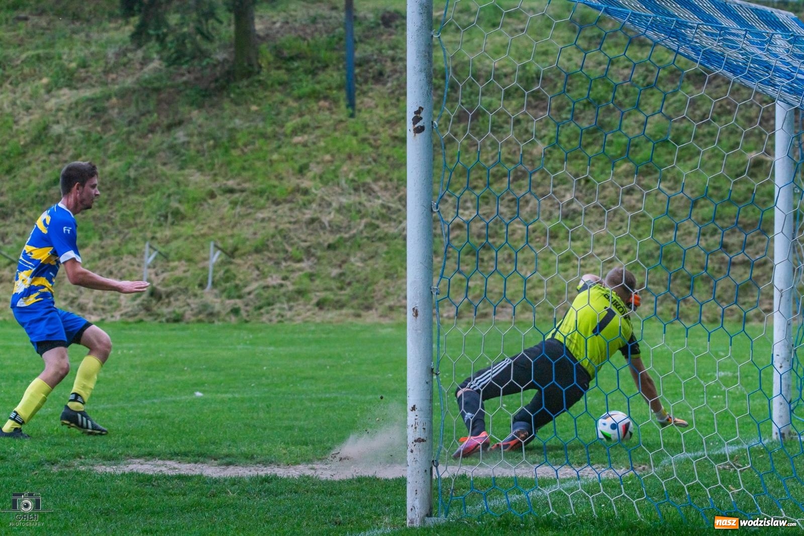 Zdjęcie w galerii na portalu naszwodzislaw.com: Gamów – Buków: Wilczek rozszarpał Wypoczynek [FOTO i WIDEO] wiadomości z regionu