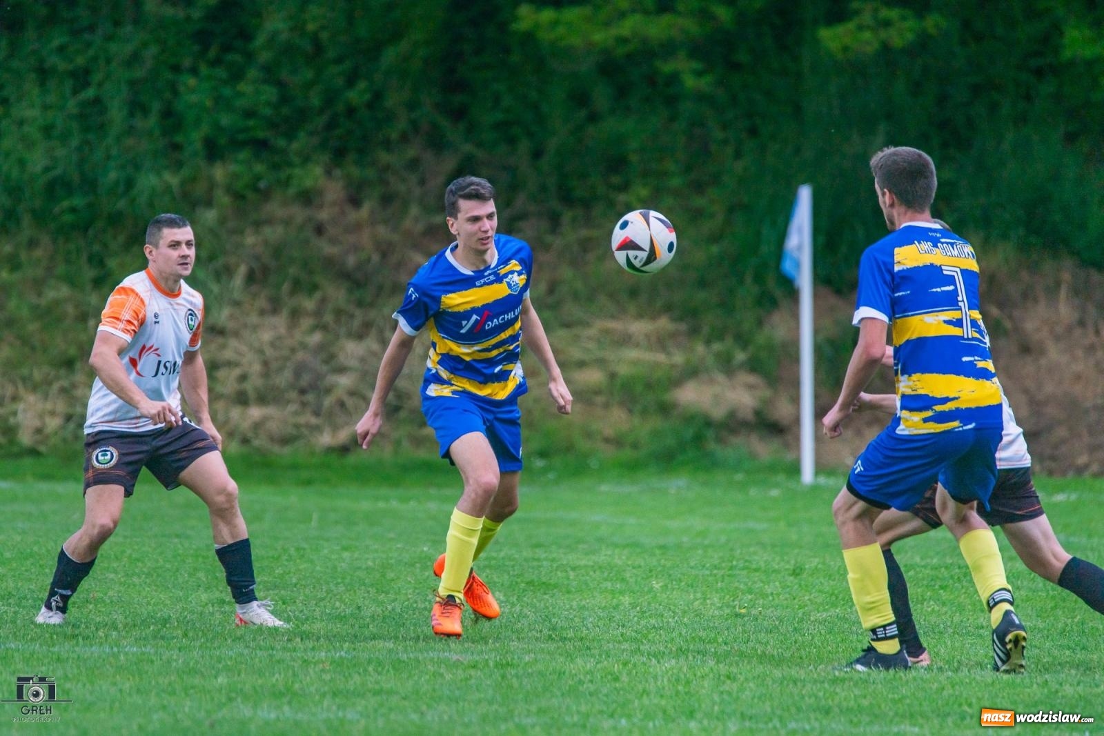 Zdjęcie w galerii na portalu naszwodzislaw.com: Gamów – Buków: Wilczek rozszarpał Wypoczynek [FOTO i WIDEO] wiadomości z regionu