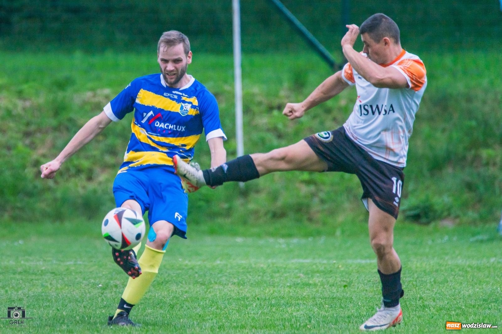 Zdjęcie w galerii na portalu naszwodzislaw.com: Gamów – Buków: Wilczek rozszarpał Wypoczynek [FOTO i WIDEO] wiadomości z regionu