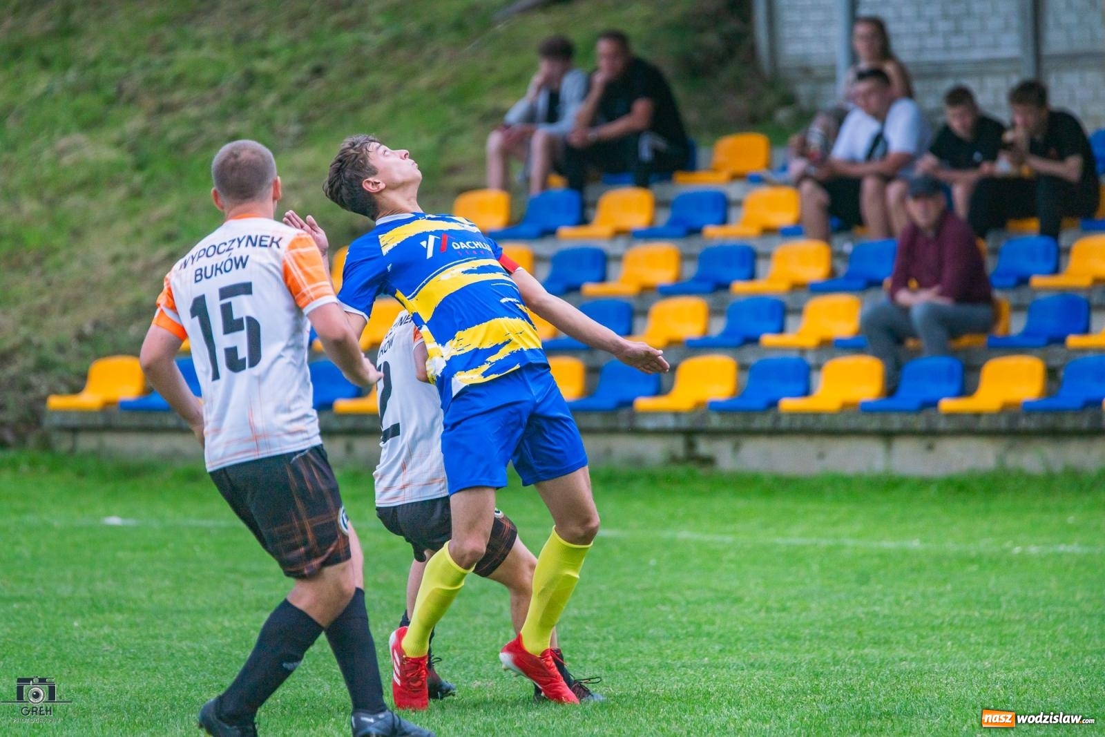 Zdjęcie w galerii na portalu naszwodzislaw.com: Gamów – Buków: Wilczek rozszarpał Wypoczynek [FOTO i WIDEO] wiadomości z regionu