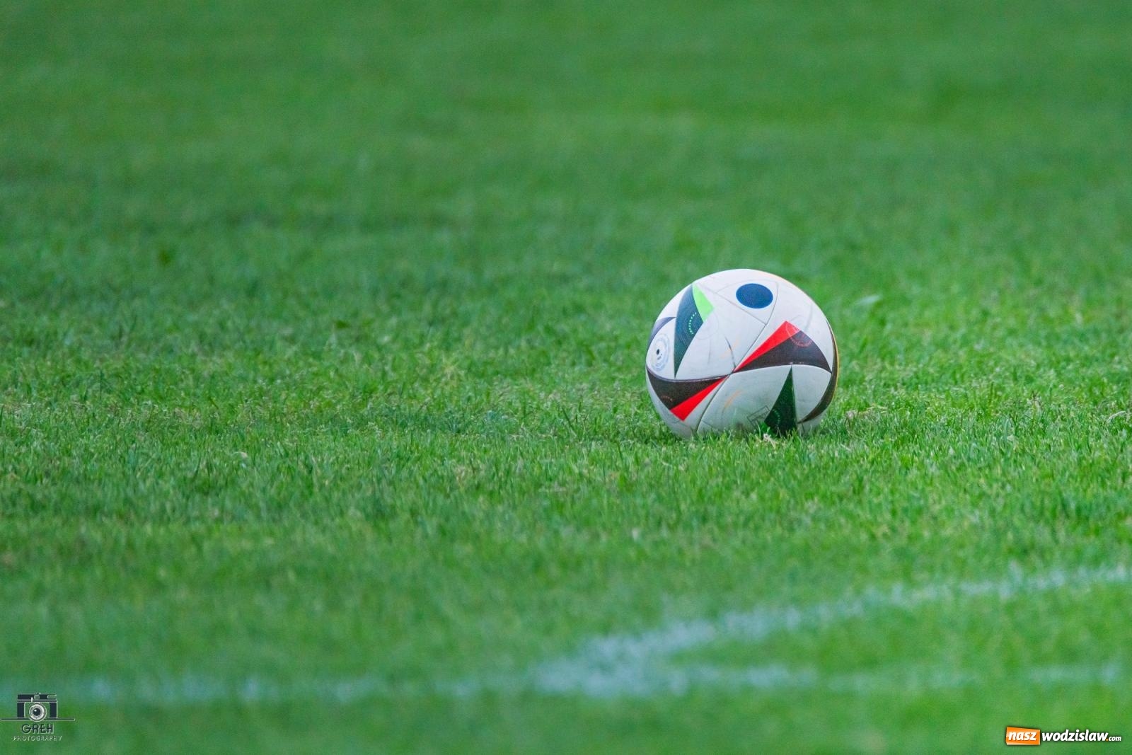 Zdjęcie w galerii na portalu naszwodzislaw.com: Gamów – Buków: Wilczek rozszarpał Wypoczynek [FOTO i WIDEO] wiadomości z regionu