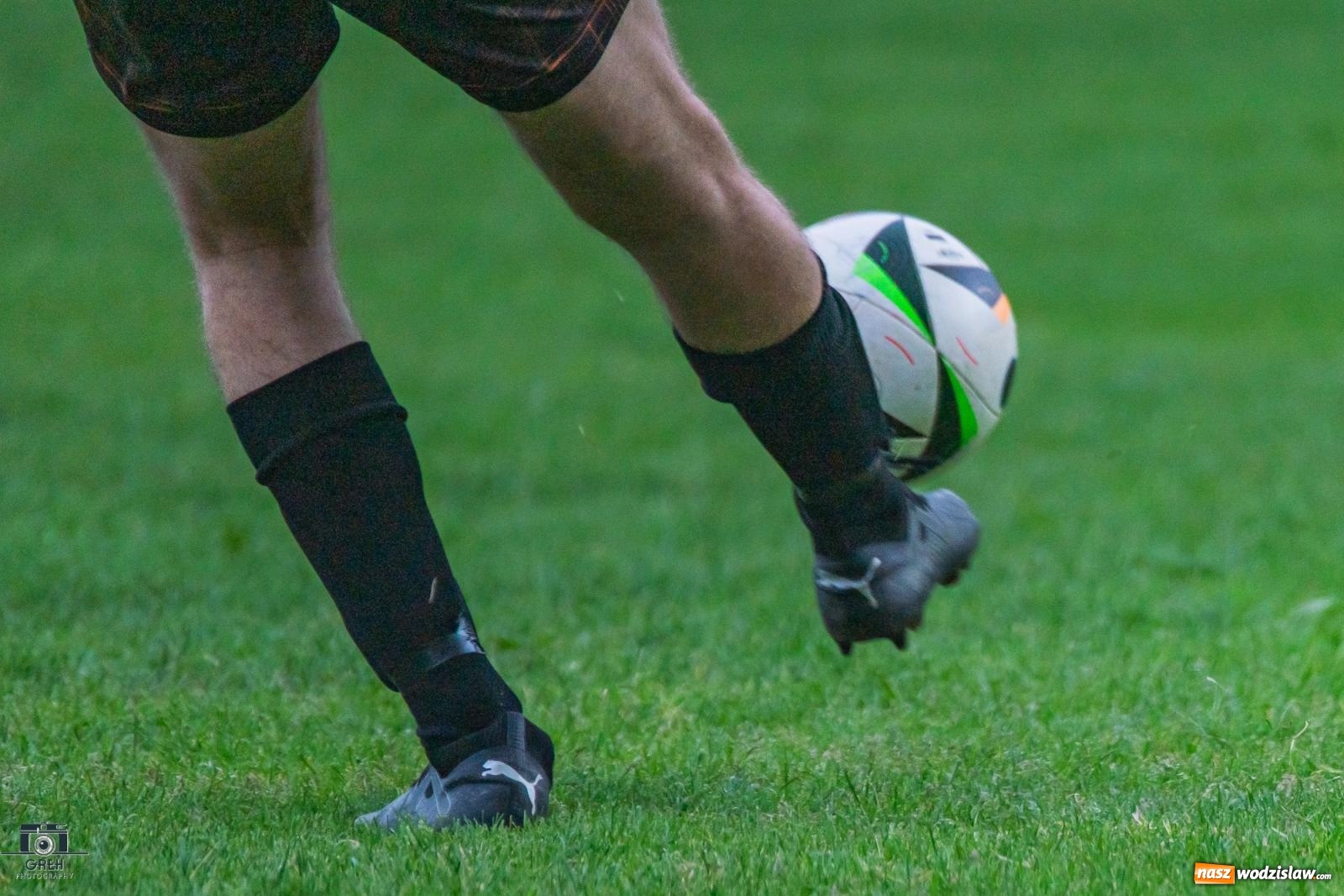 Zdjęcie w galerii na portalu naszwodzislaw.com: Gamów – Buków: Wilczek rozszarpał Wypoczynek [FOTO i WIDEO] wiadomości z regionu