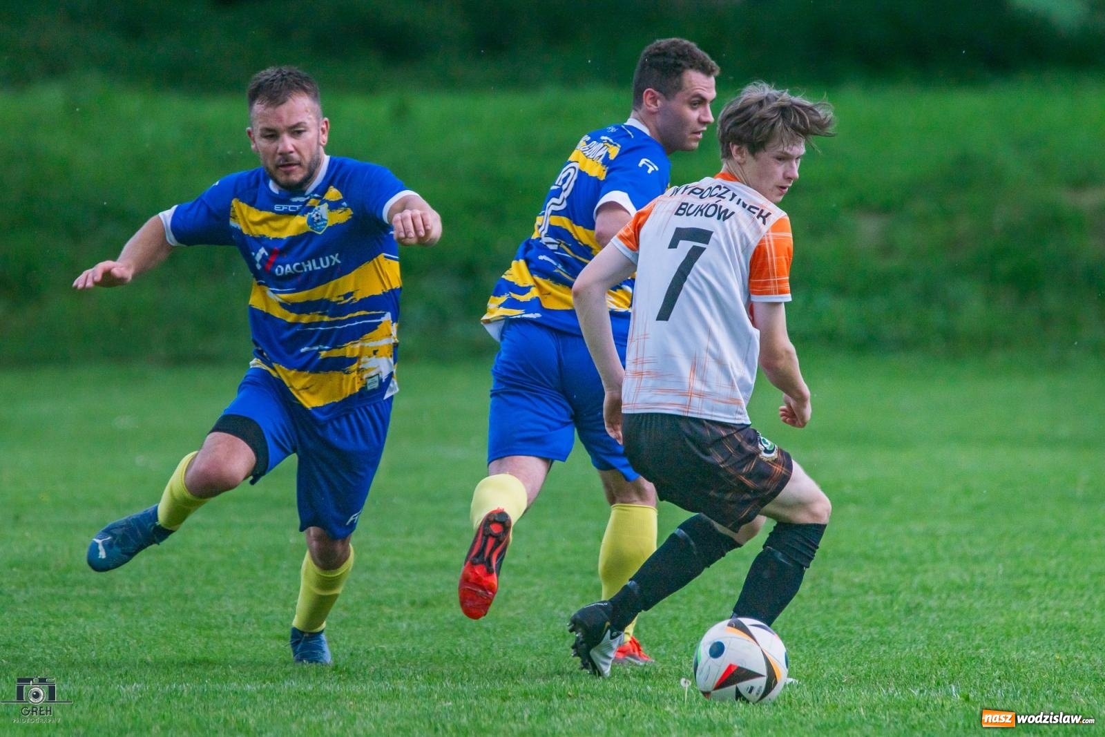 Zdjęcie w galerii na portalu naszwodzislaw.com: Gamów – Buków: Wilczek rozszarpał Wypoczynek [FOTO i WIDEO] wiadomości z regionu