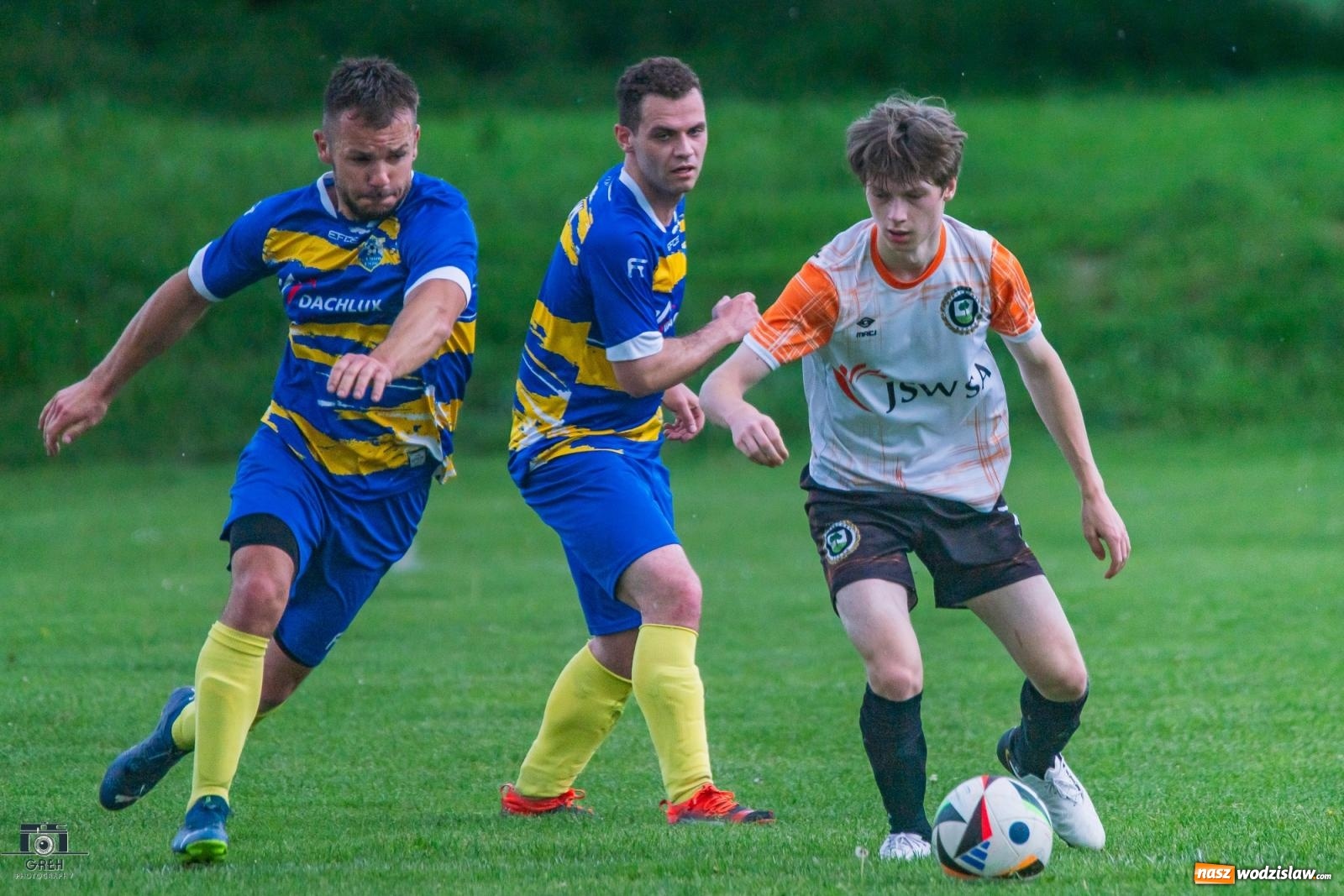 Zdjęcie w galerii na portalu naszwodzislaw.com: Gamów – Buków: Wilczek rozszarpał Wypoczynek [FOTO i WIDEO] wiadomości z regionu