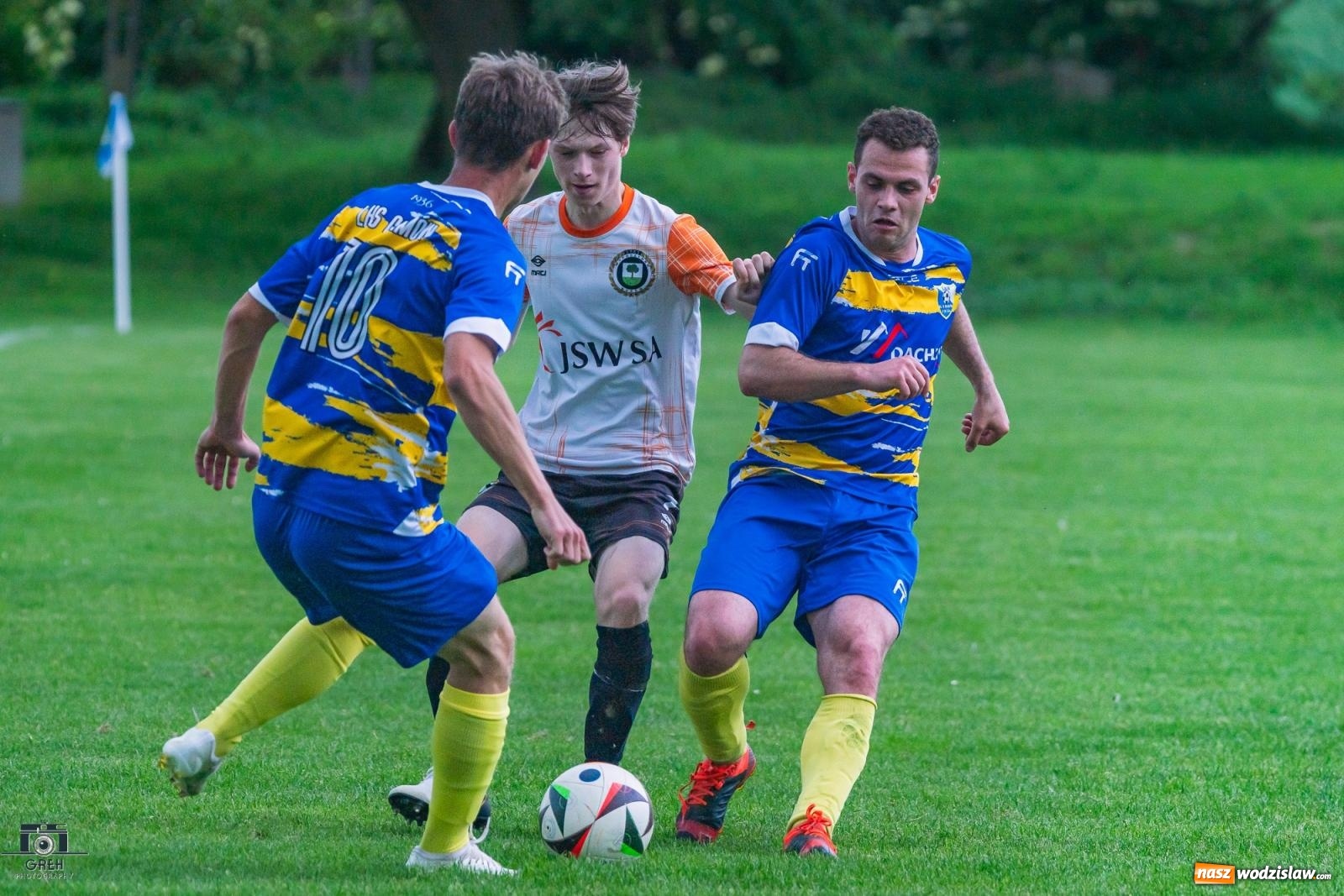 Zdjęcie w galerii na portalu naszwodzislaw.com: Gamów – Buków: Wilczek rozszarpał Wypoczynek [FOTO i WIDEO] wiadomości z regionu